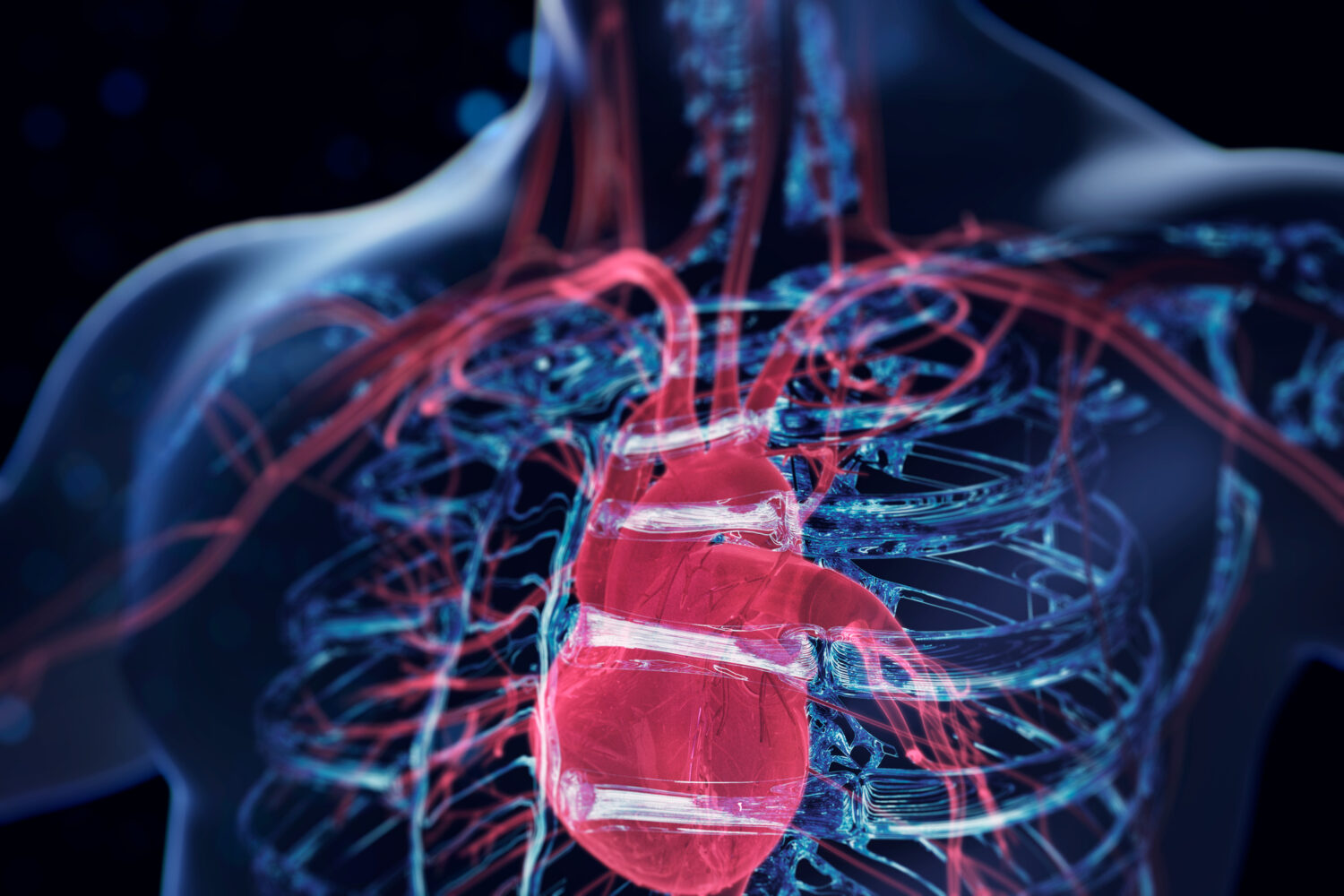 A red heart is visible inside a blue-colored body.