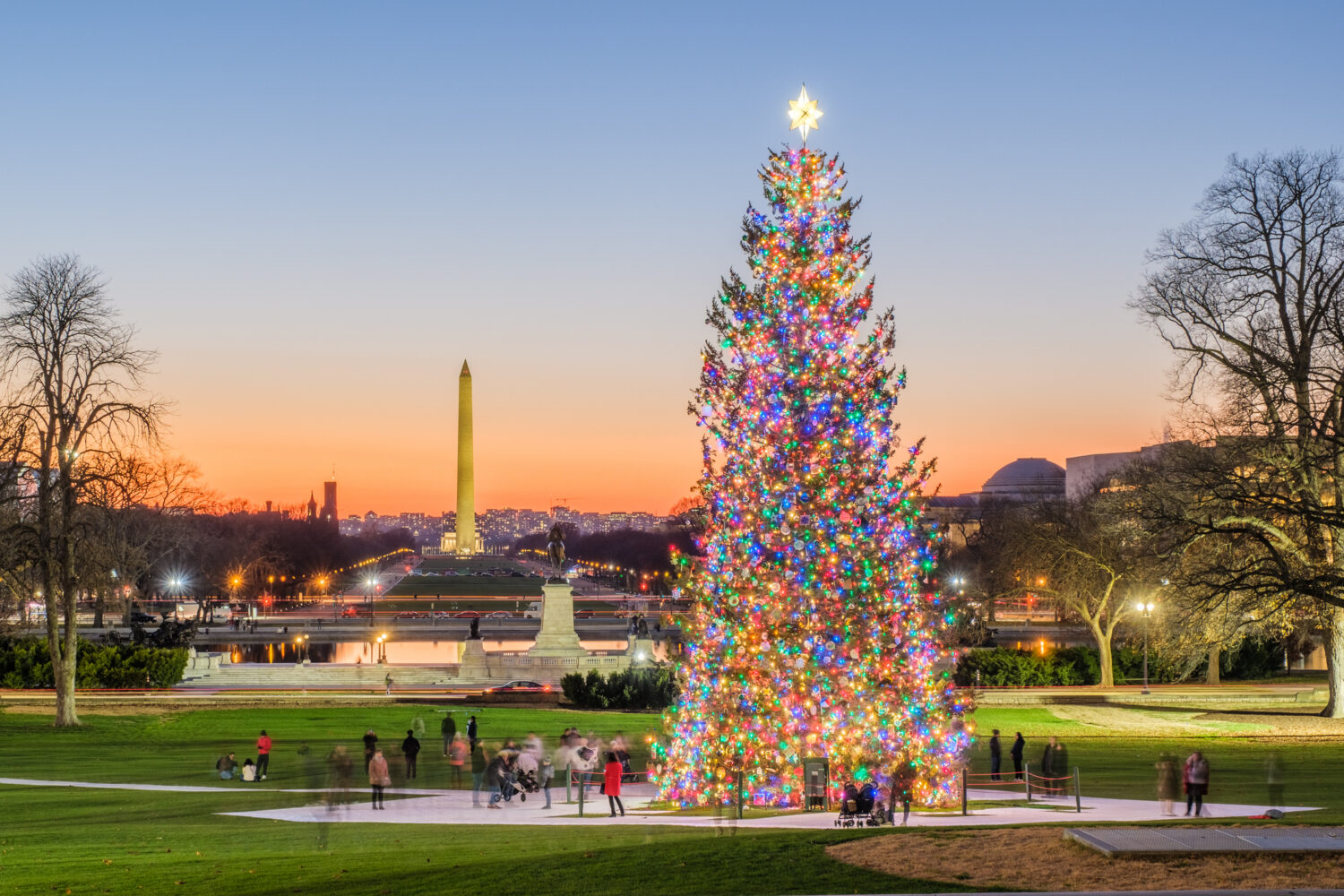 9 Places to See Stunning Christmas Trees Around DC