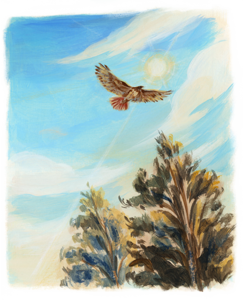 WHermitageSpots2 (1) - Washingtonian