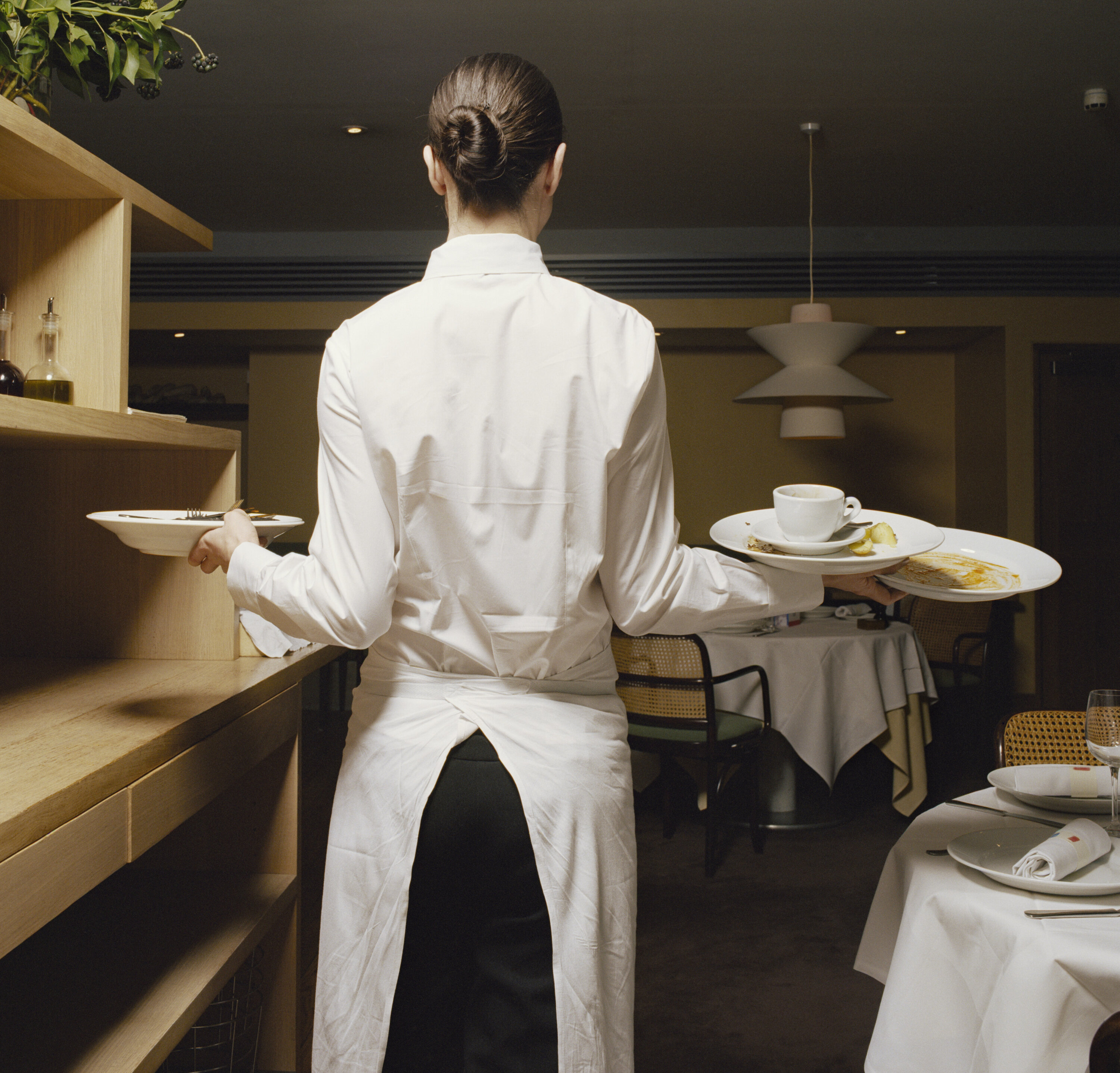 Waitress carrying dirty plates in restaurant, rear view - Washingtonian