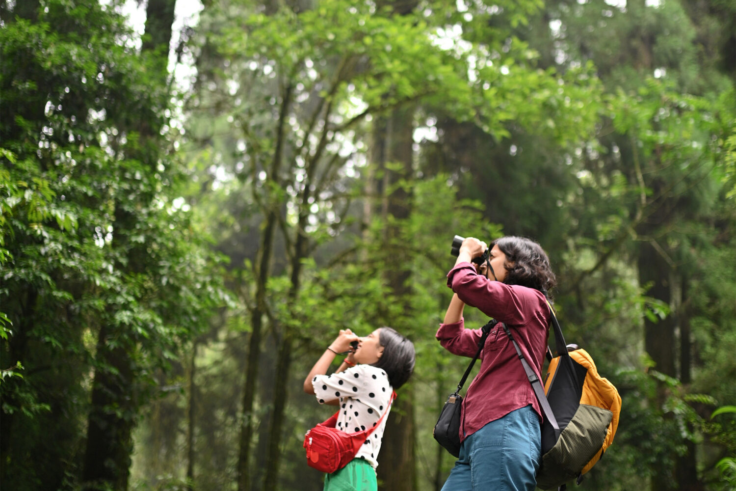 Build Your Outdoor Knowledge With These 3 Activities in the DC Area