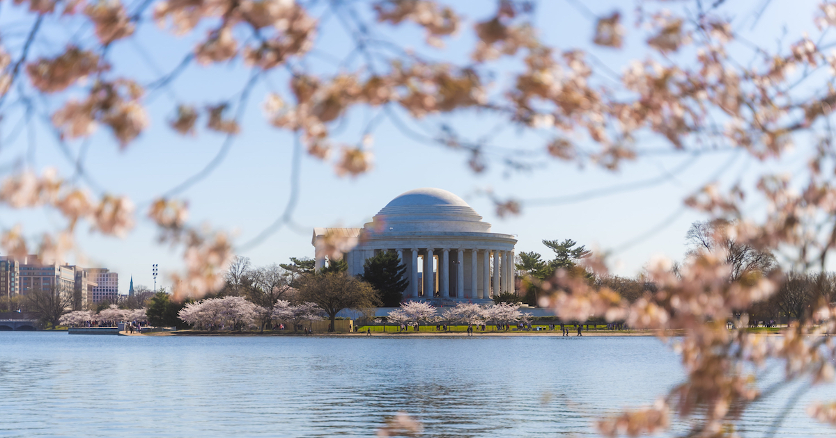The Thomas Jefferson Memorial during cherry blossom season. Photograph courtesy of washington.org. 