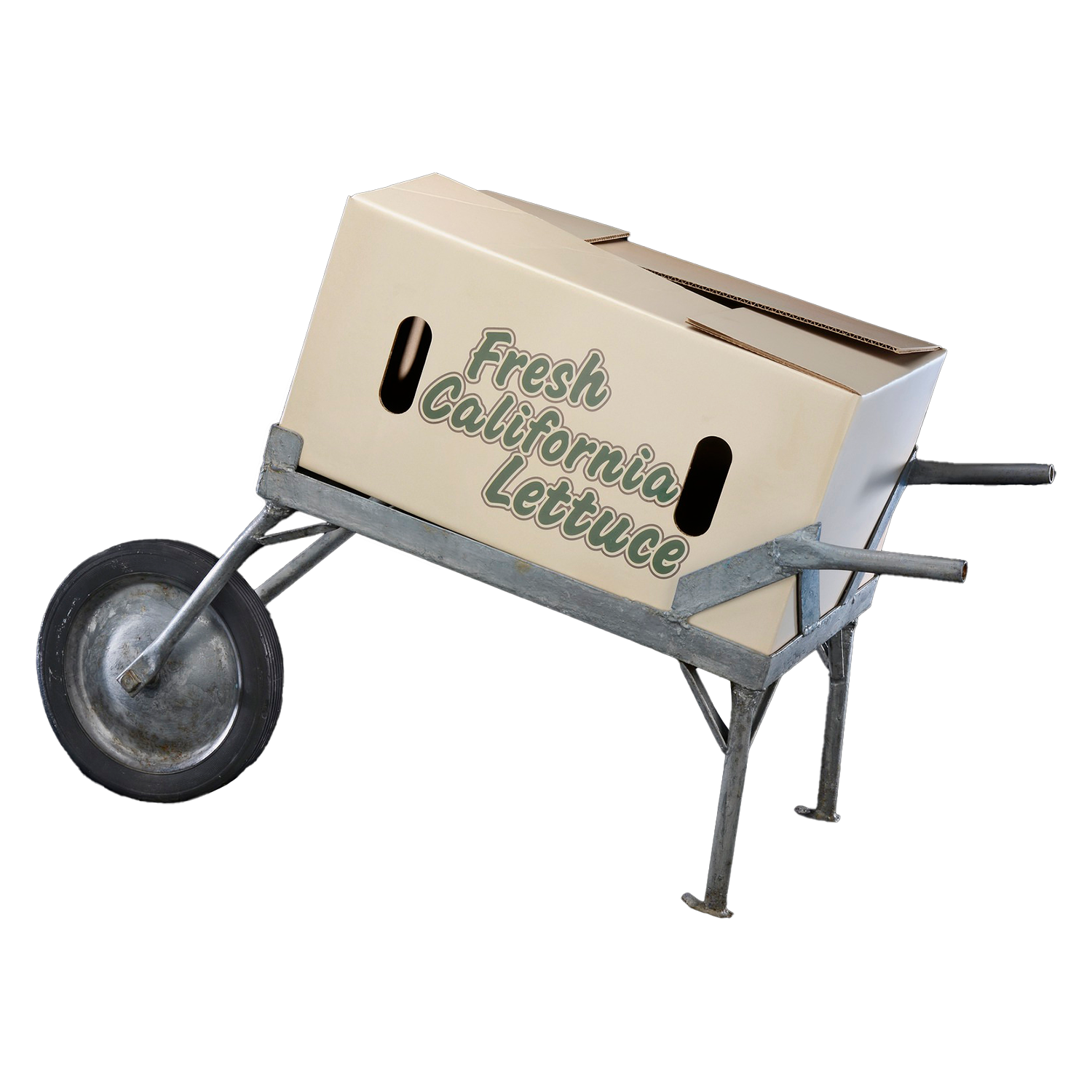 Lettuce-box-3 - Washingtonian