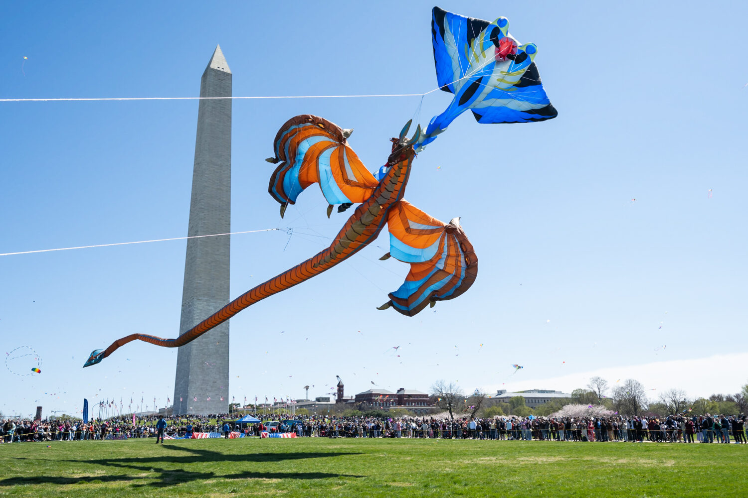 26 Things to Do in the DC Area This Week and Weekend