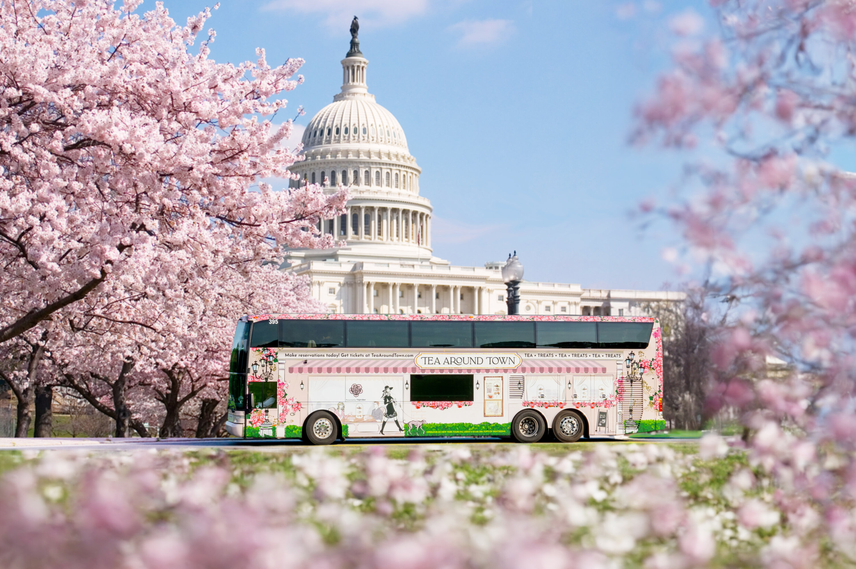 TeaAroundTown_AI_DC_CherryBlossom_02 (1) - Washingtonian