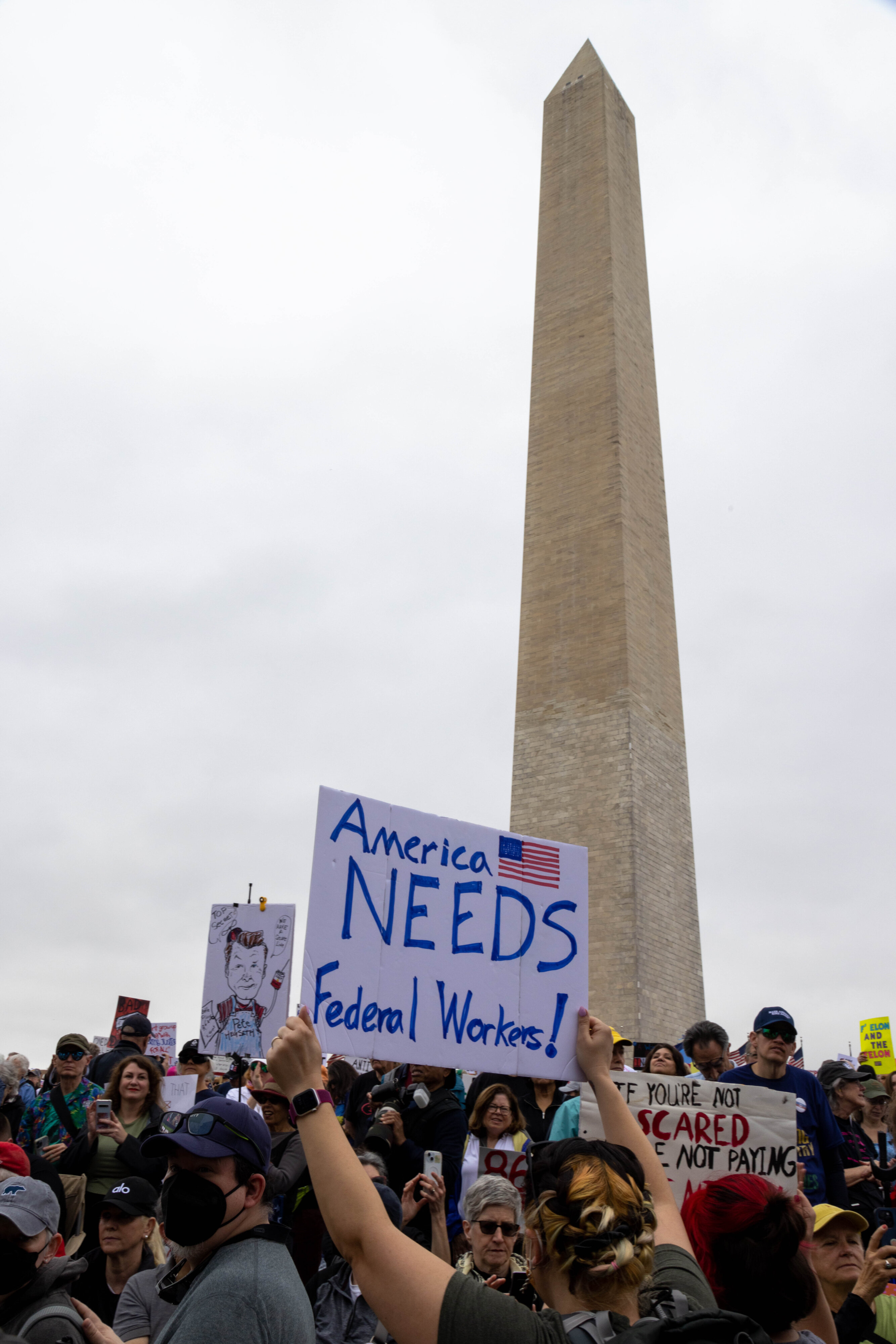 _67A1265 - Washingtonian