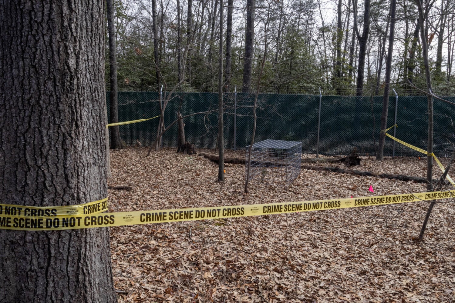 Human Decomposition Has Been a Mystery–Until Now