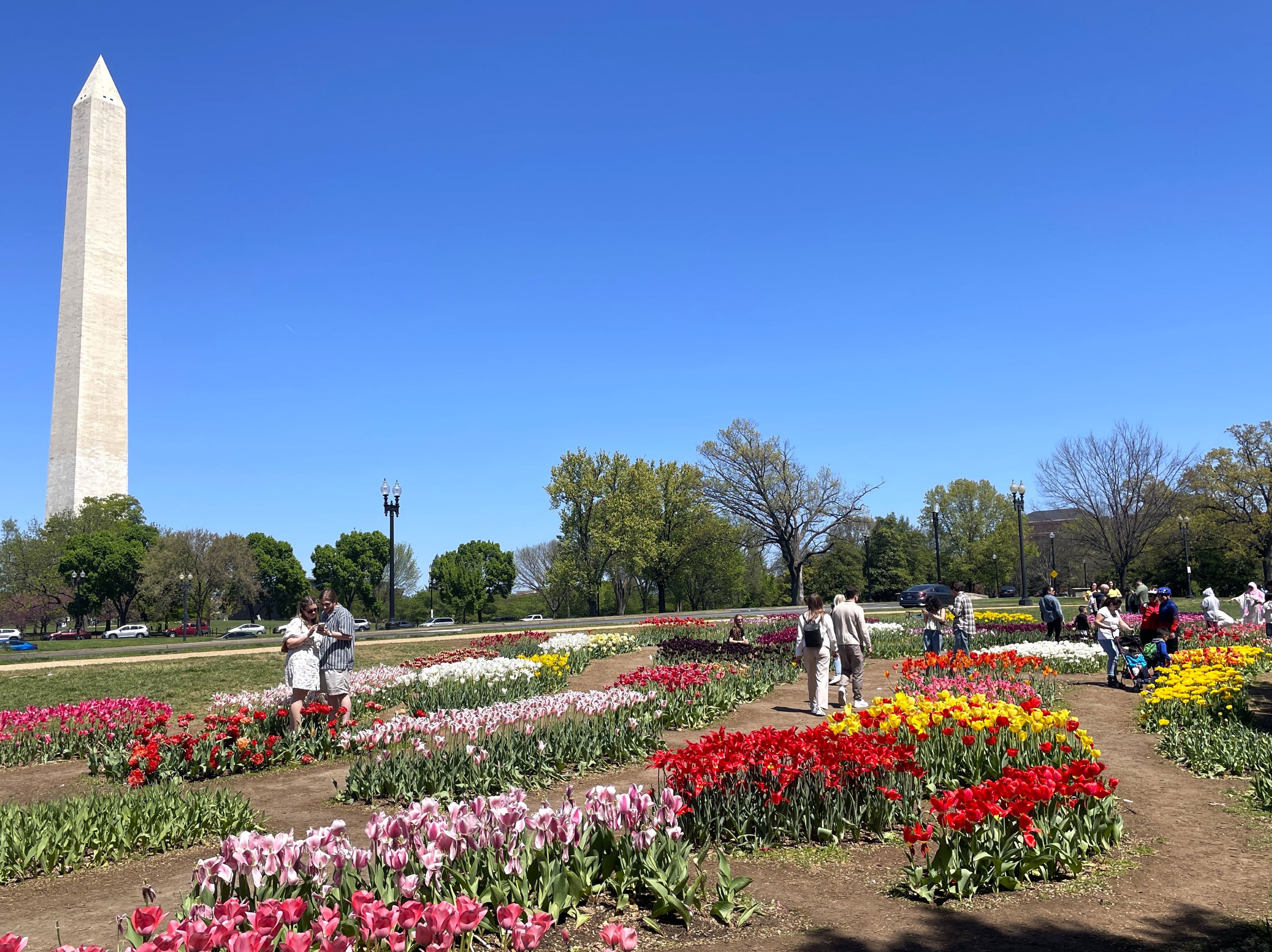 The Floral Library on the National Mall. Photo by Nate Adams courtesy of NPS. 