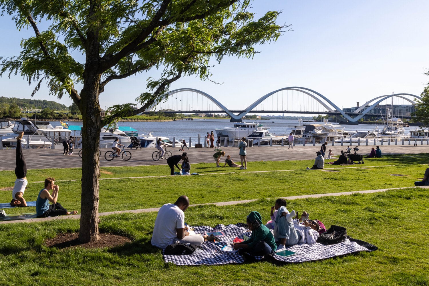 Neighborhood Guide: Where to Eat, Shop, and Play in Navy Yard