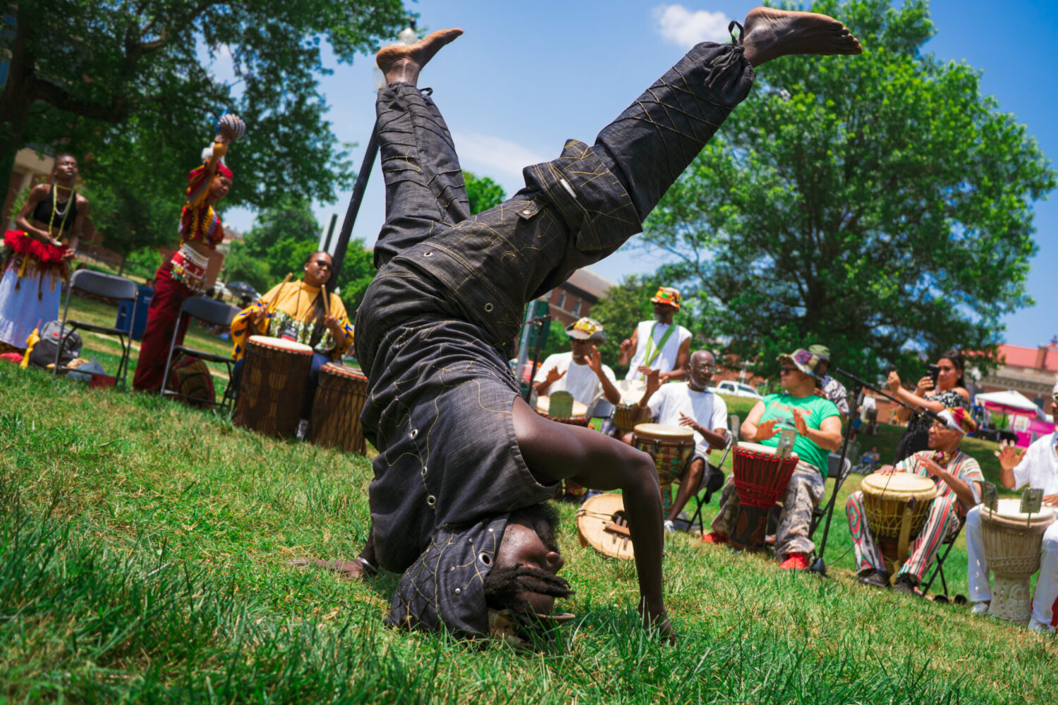 29 Things to Do in the DC Area This Week and Weekend