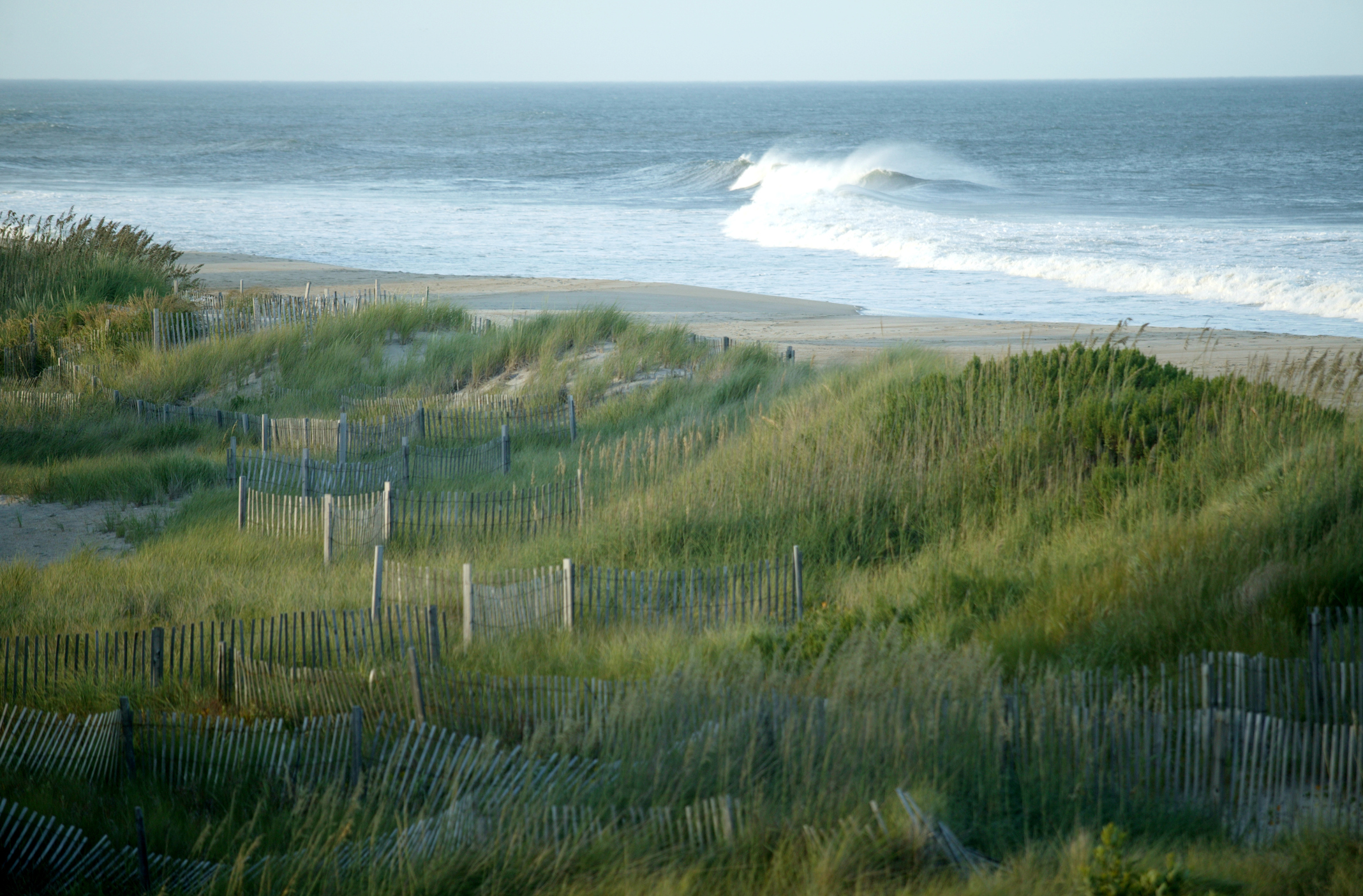 Picket Fences on Sand Dunes at Beach - Washingtonian
