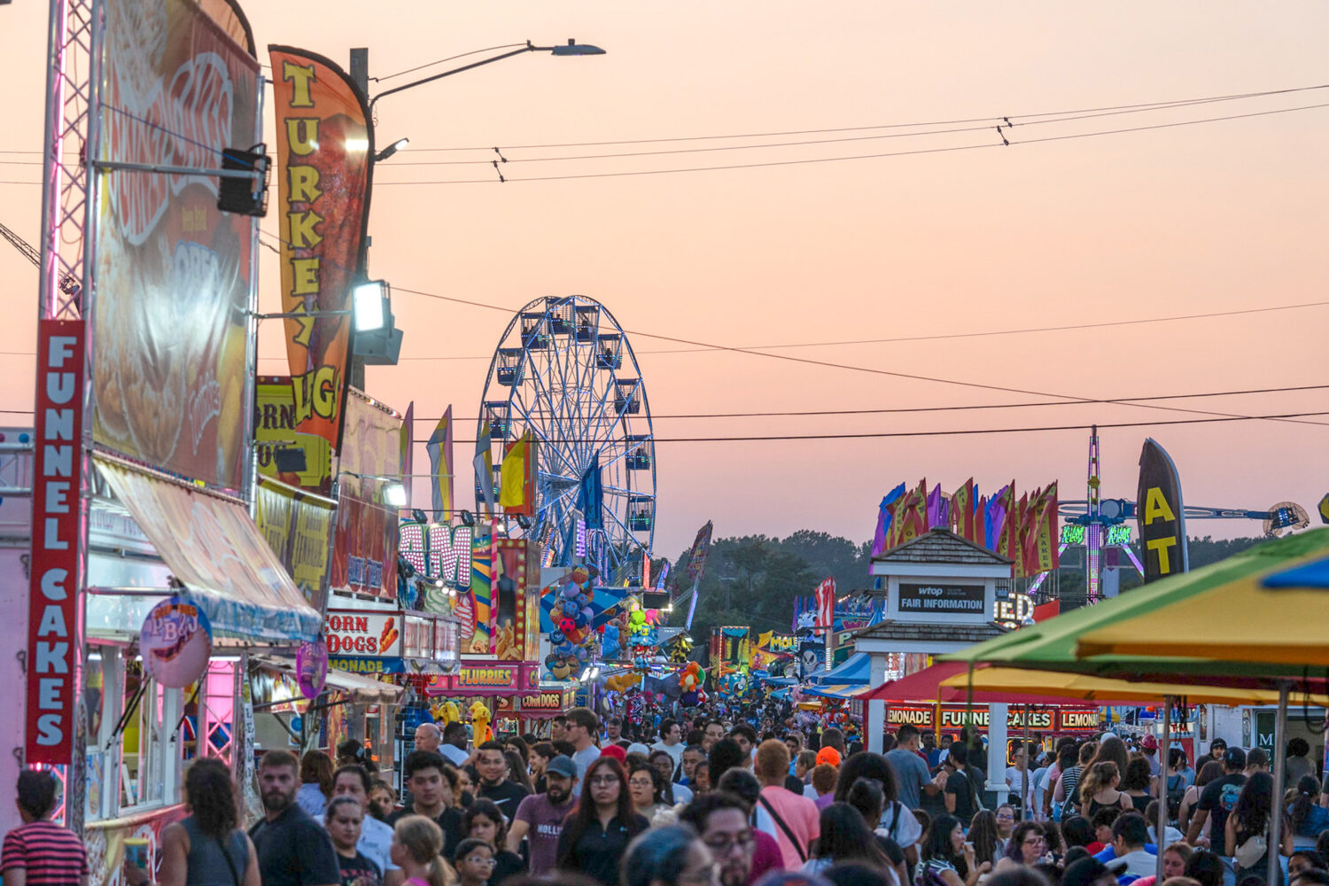 31 Things to Do in the DC Area This Week and Weekend