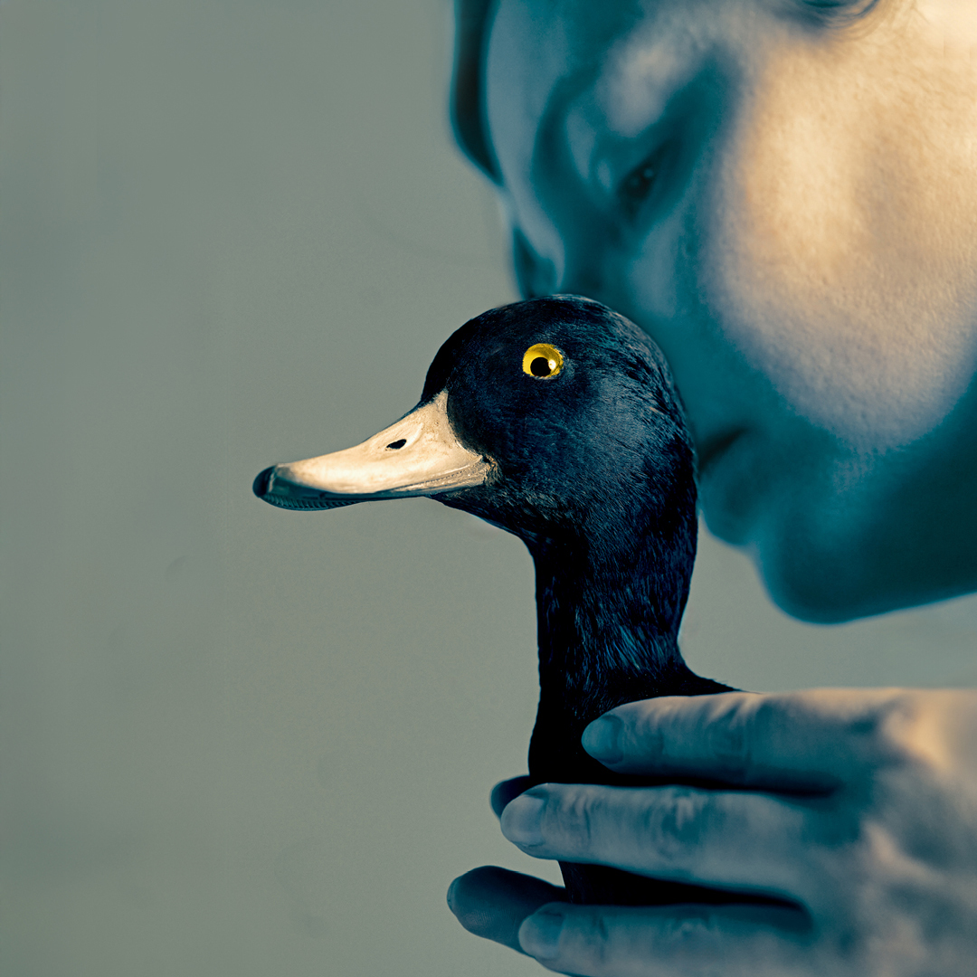 250715_The-Wild-Duck-TodayTix_1080x1080 - Washingtonian