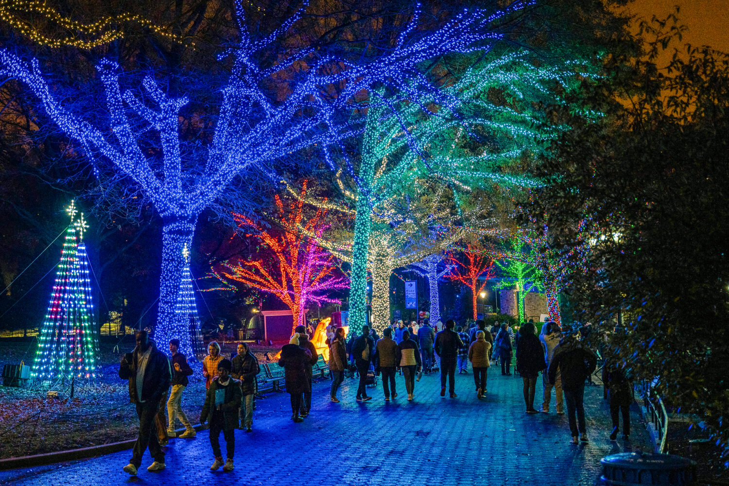 27 Things to Do in the DC Area This Week and Weekend