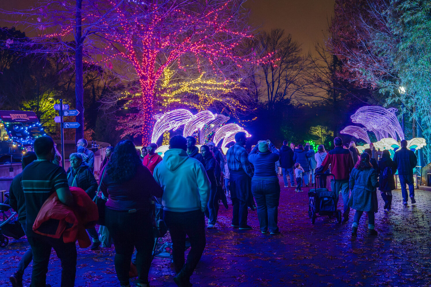 12 Enchanting Holiday Light Displays and Attractions Around the DC Area