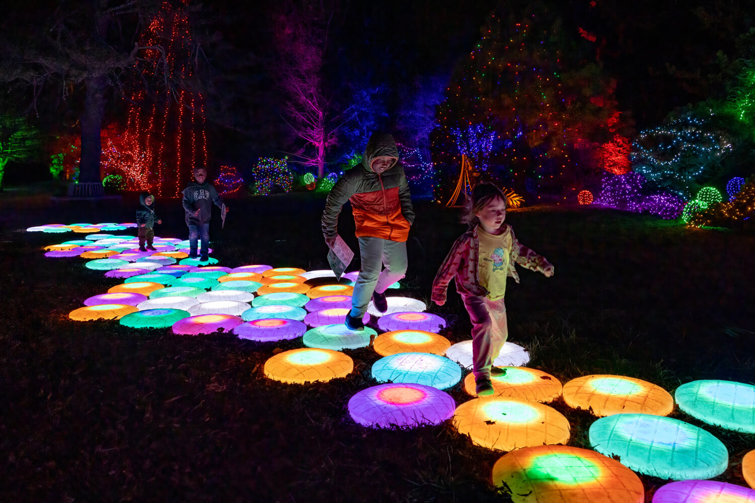26 Things to Do in the DC Area This Week and Weekend