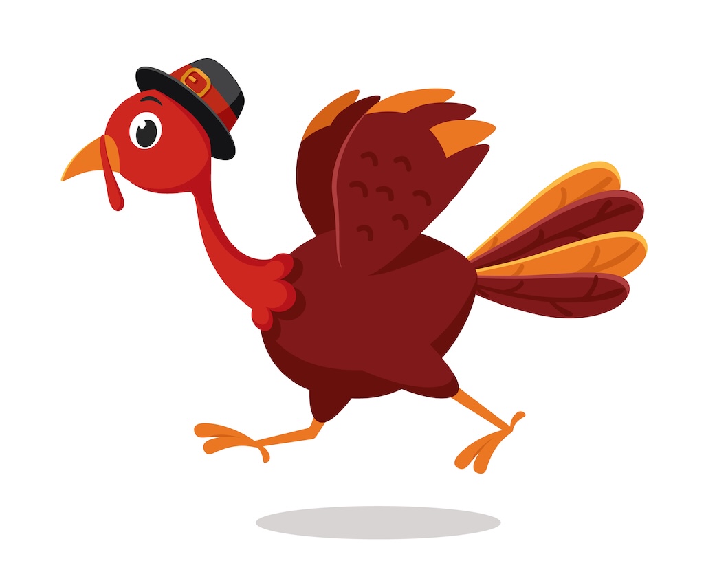Turkey bird in hat running on a white background Thanksgiving day - Washingtonian