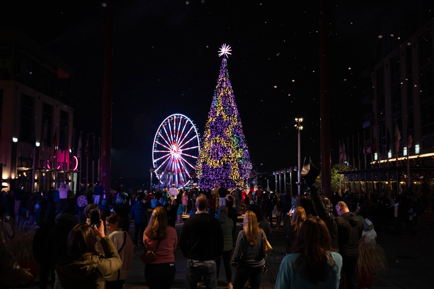 Holiday Lightings to Kick Off the Festivities in the DC Area