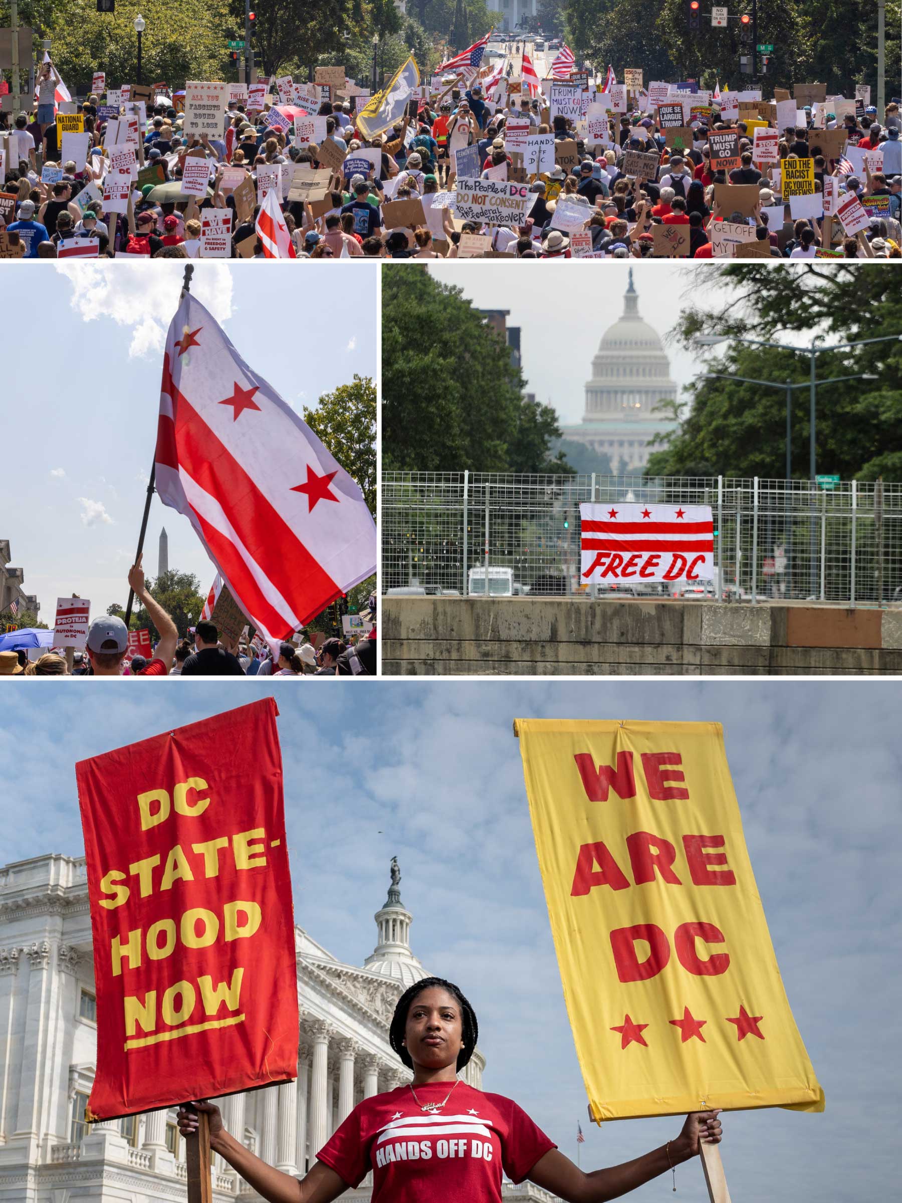 Flying-the-flag-collage-large - Washingtonian