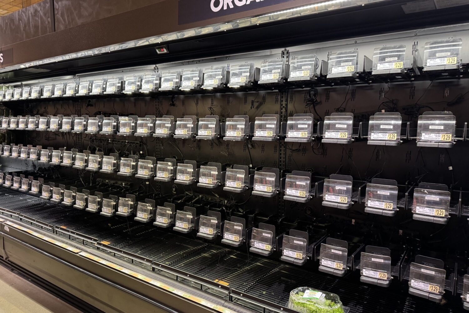 Snow Is Coming, and Yes, Grocery Shelves Are Already Bare