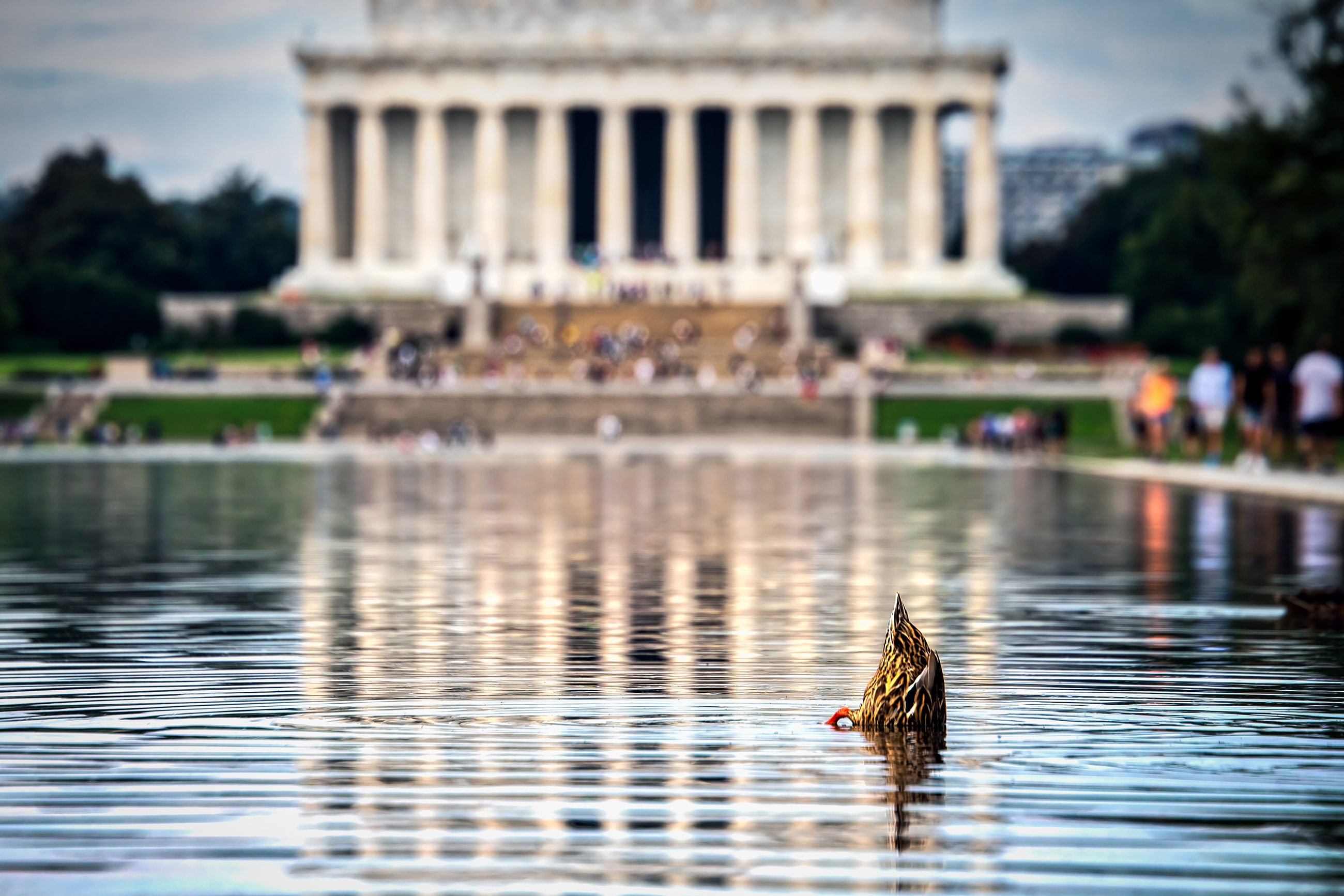 GettyImages-1024692530-scaled-down - Washingtonian