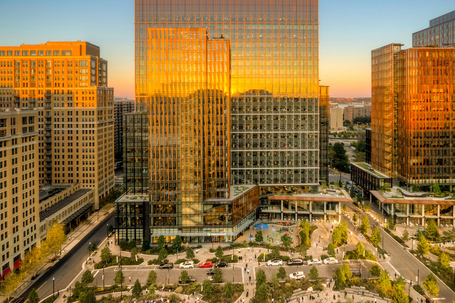 Neighborhood Guide: Where to Eat, Shop, and Play in Arlington