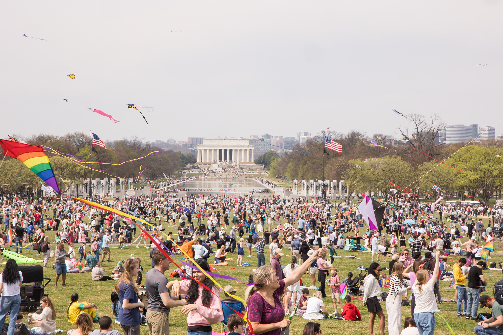 Photo courtesy of National Cherry Blossom Festival. 