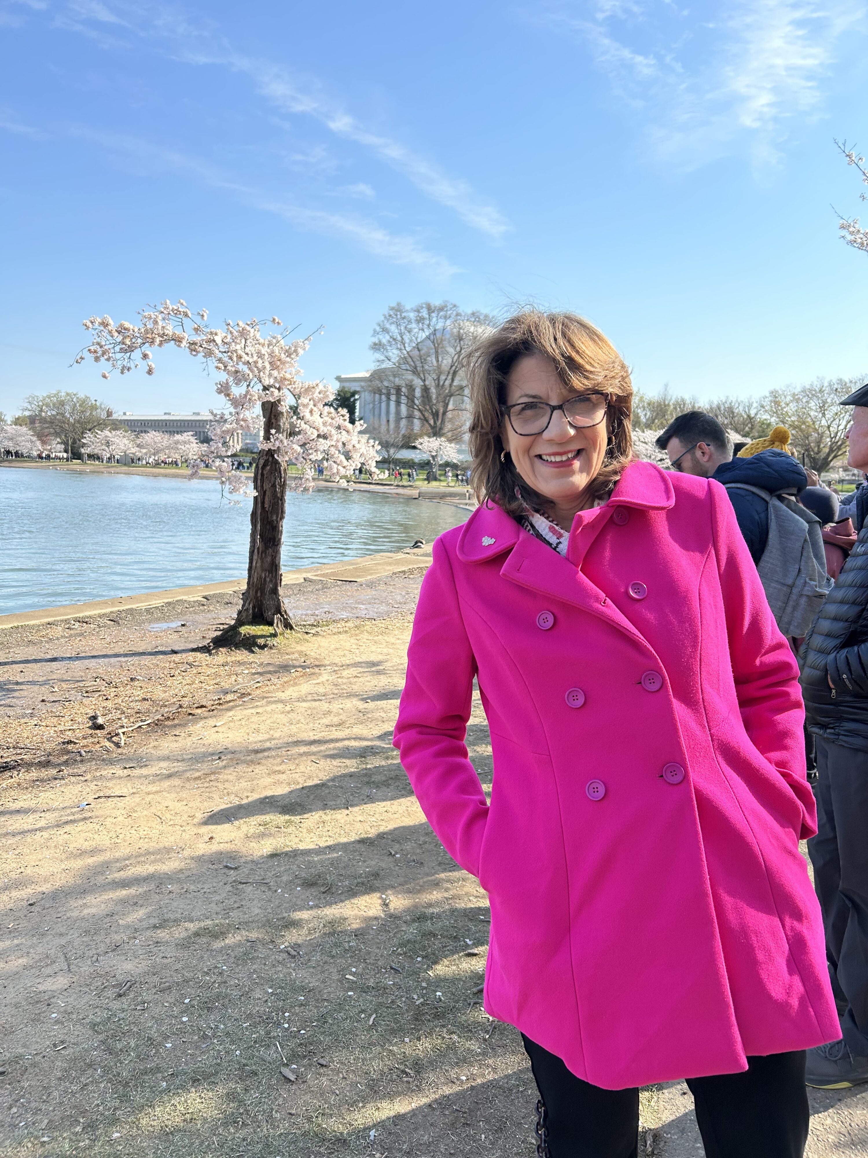 Photo courtesy of National Cherry Blossom Festival.