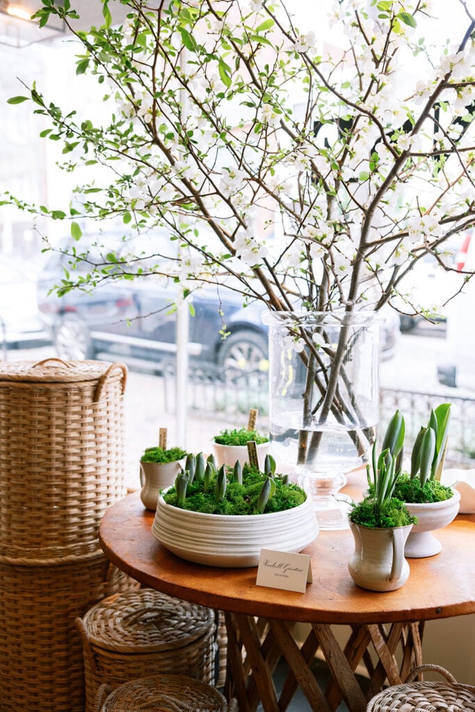 Shop Manse - Washingtonian Shop Manse