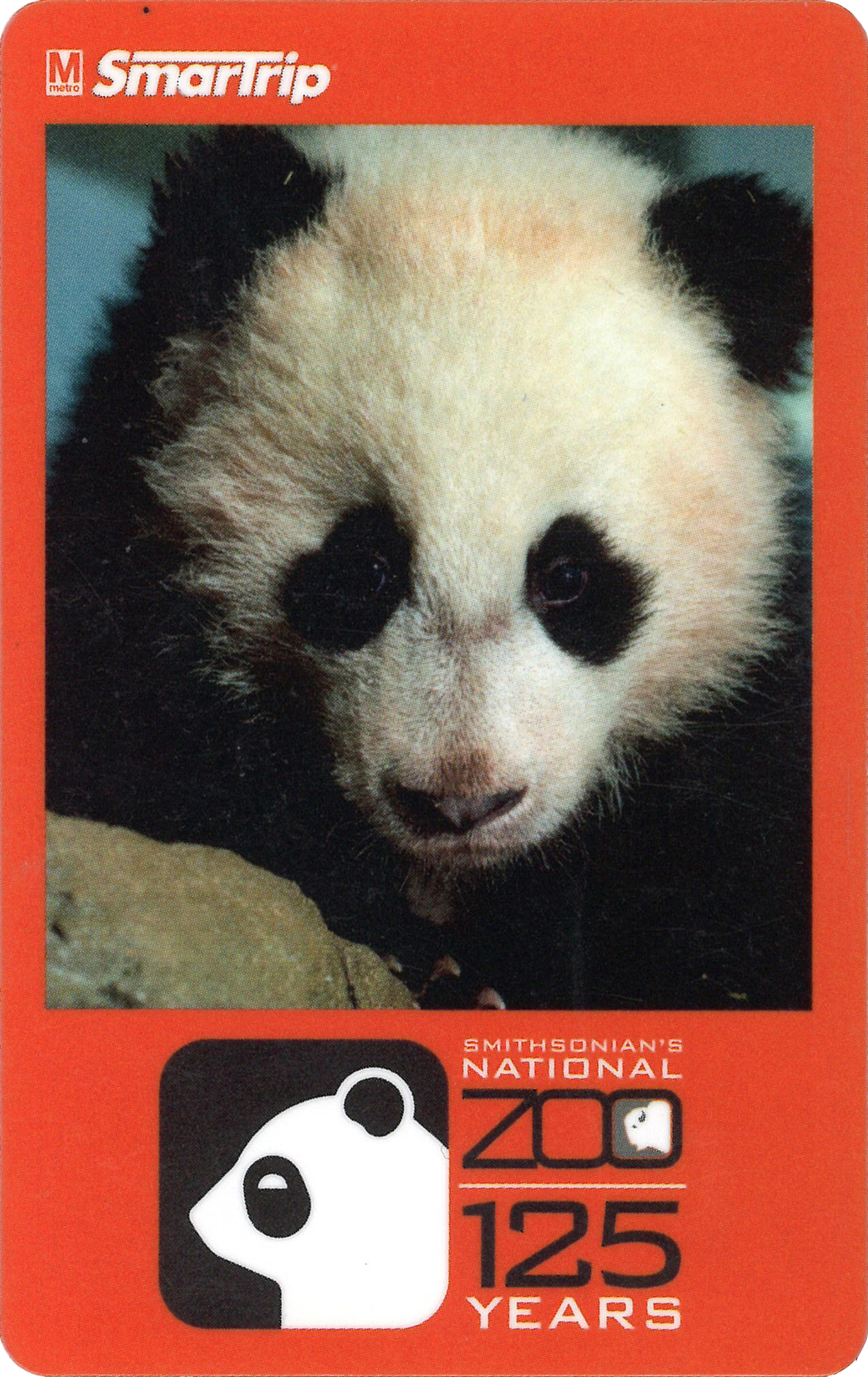 Smartrip_Panda-scaled-down - Washingtonian