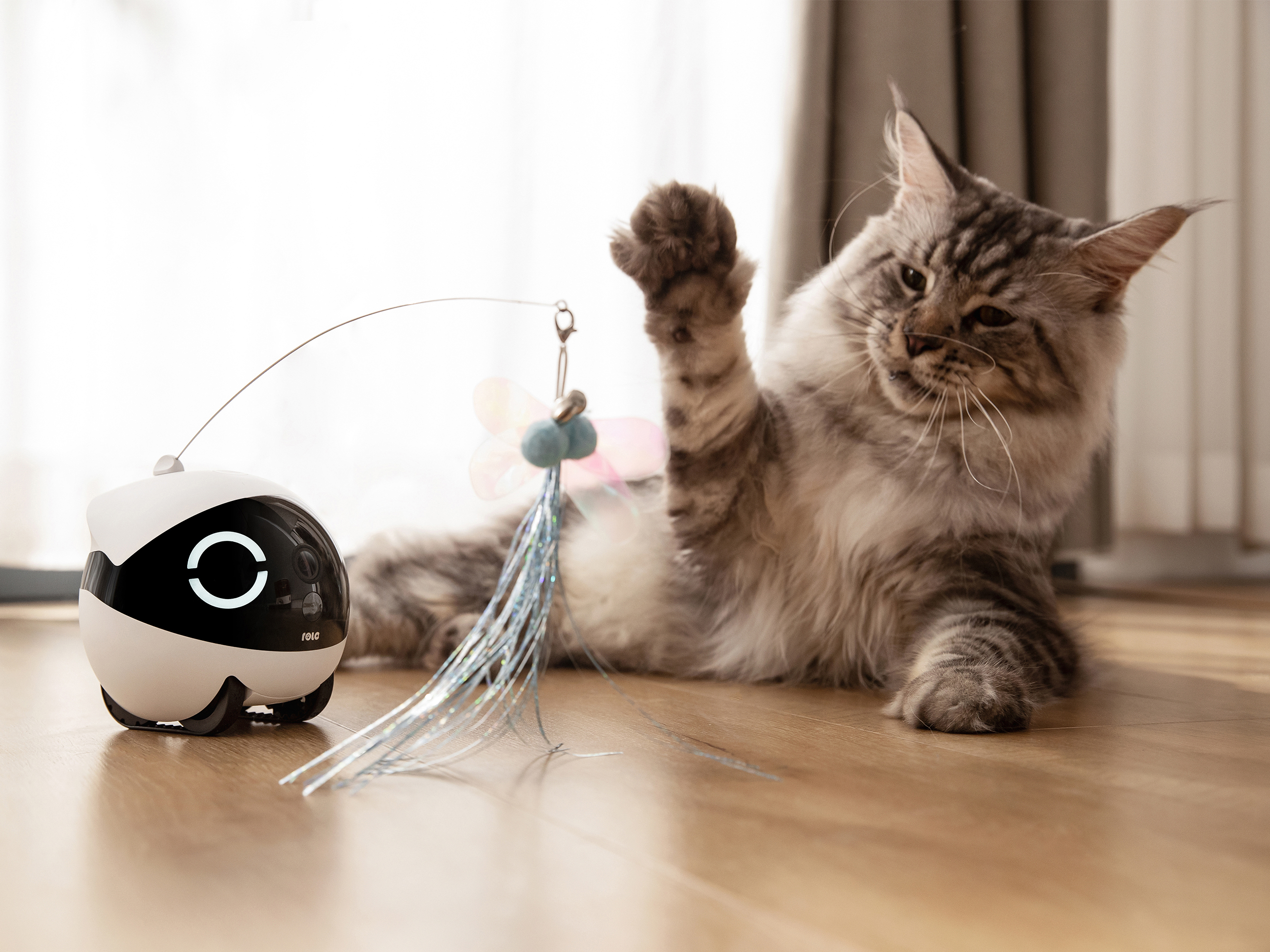 cat-tech - Washingtonian