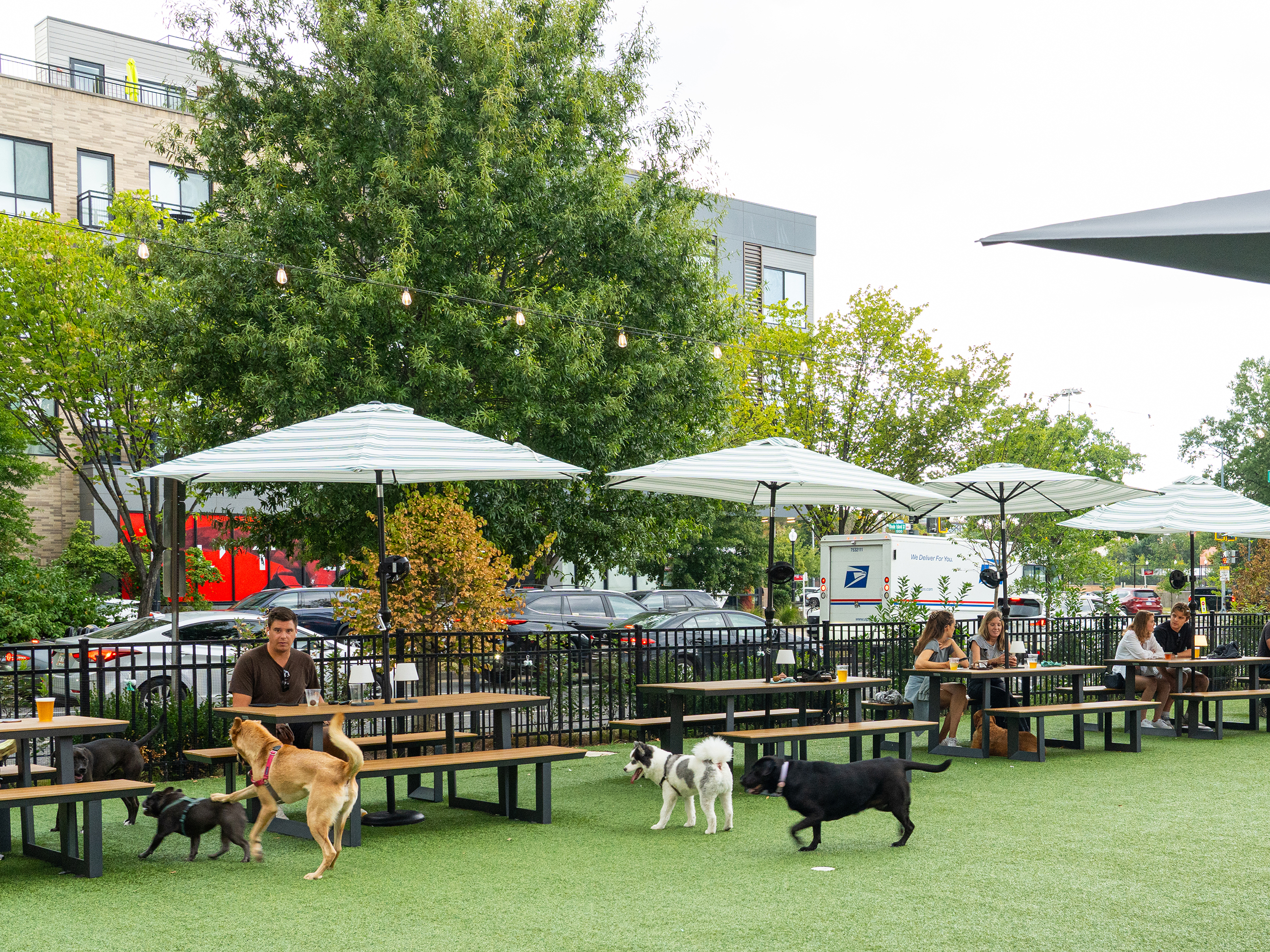 dog-daze-social-club - Washingtonian