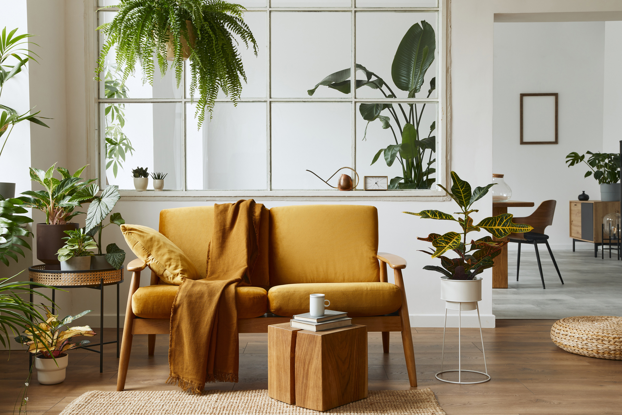 Interior design of scandinavian open space with yellow velvet sofa plants furniture book wooden cube and personal accessories in stylish home staging Template - Washingtonian Interior design of scandinavian open space with yellow velvet sofa, plants, furniture, book, wooden cube and personal accessories in stylish home staging. Template.