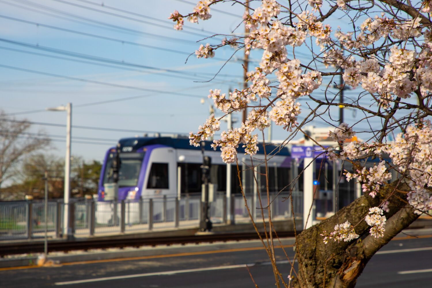 The Latest on Maryland’s Upcoming Purple Line