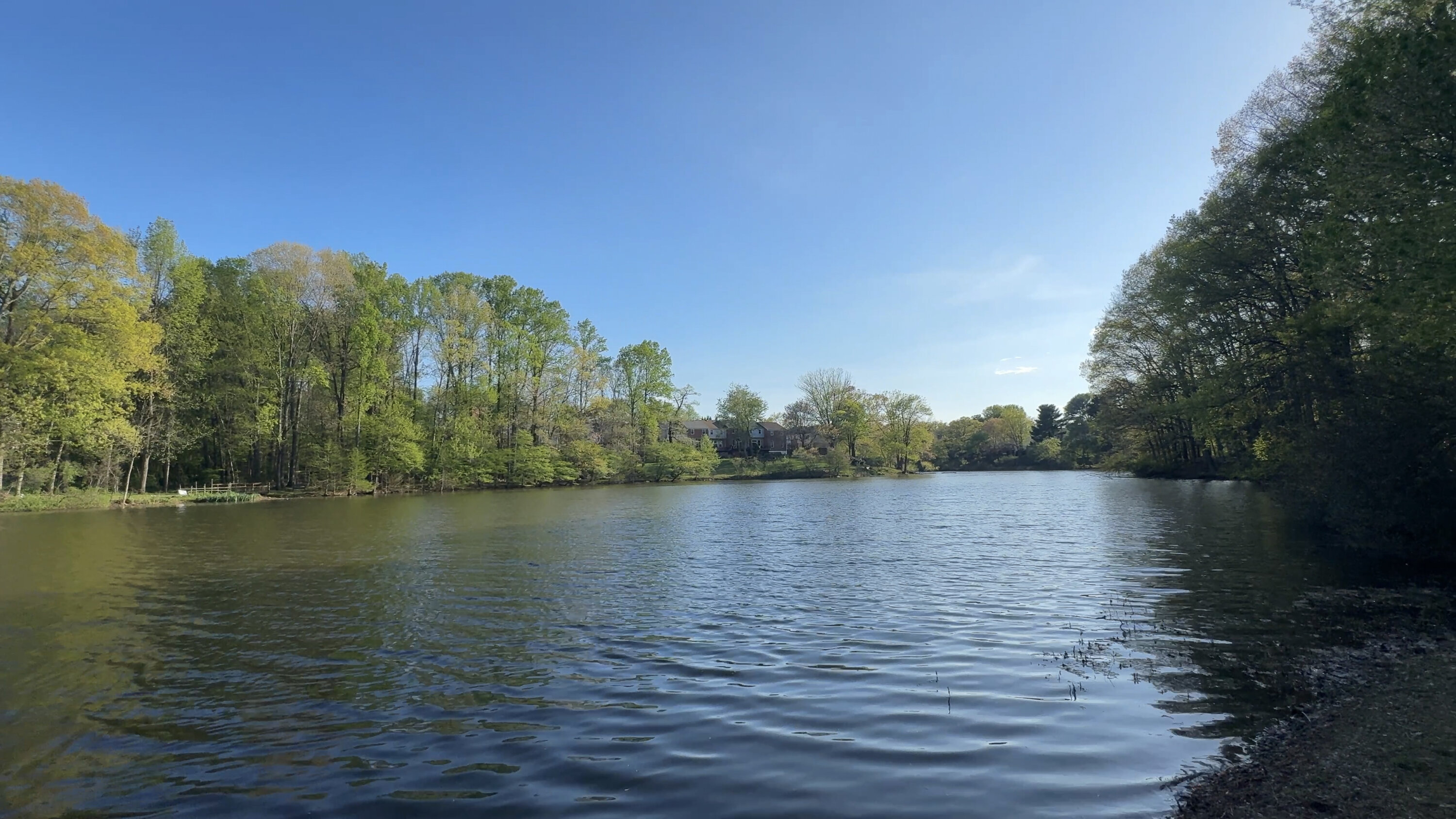 Lake Braddock 8 - Washingtonian