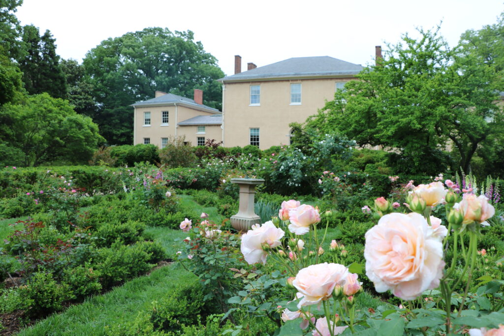 The Box Knot - Credit_ Courtesy of Tudor Place - Washingtonian