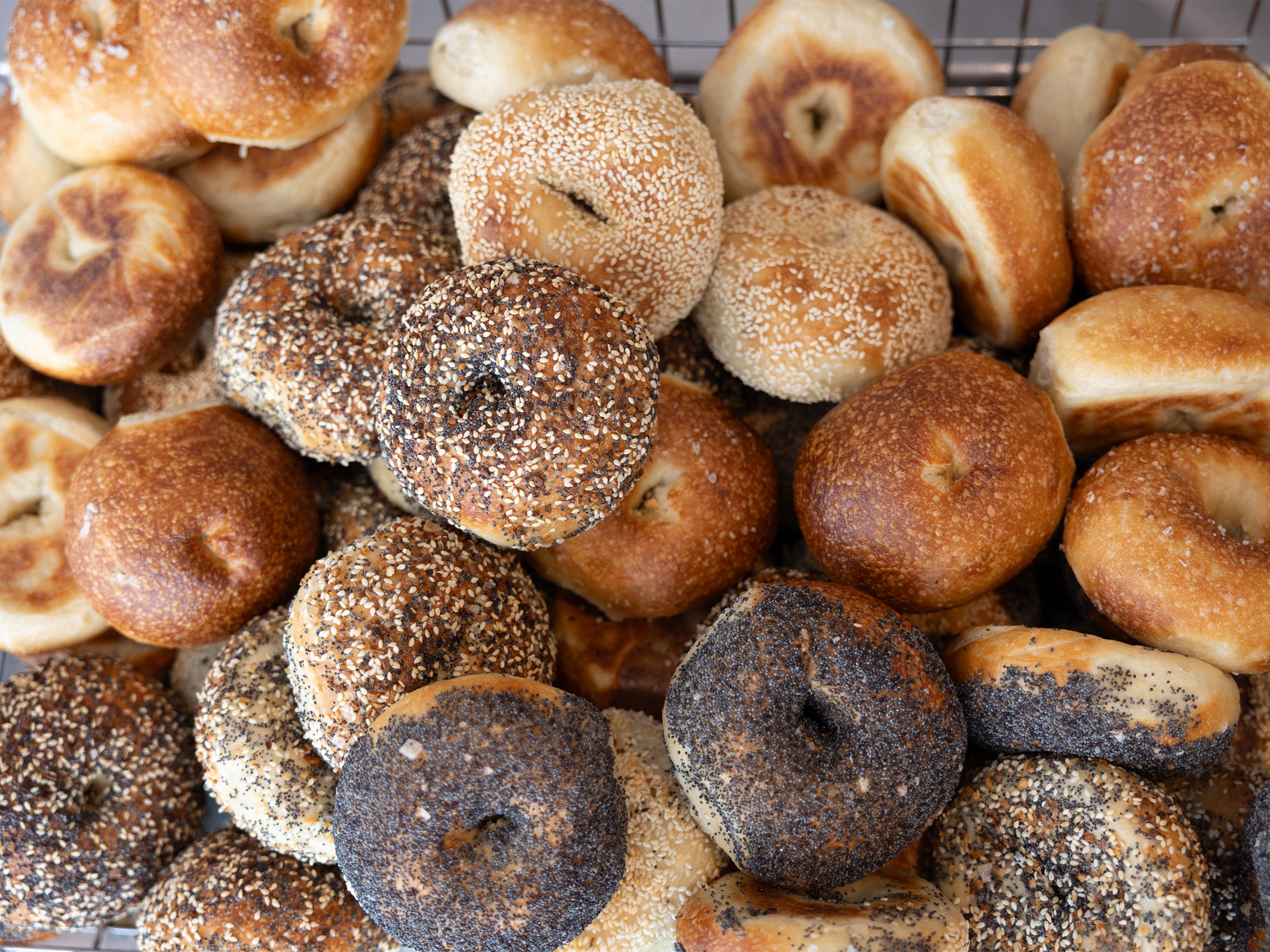 Bagels9_PhotoCredit_Jen-Goldberg-scaled-down - Washingtonian