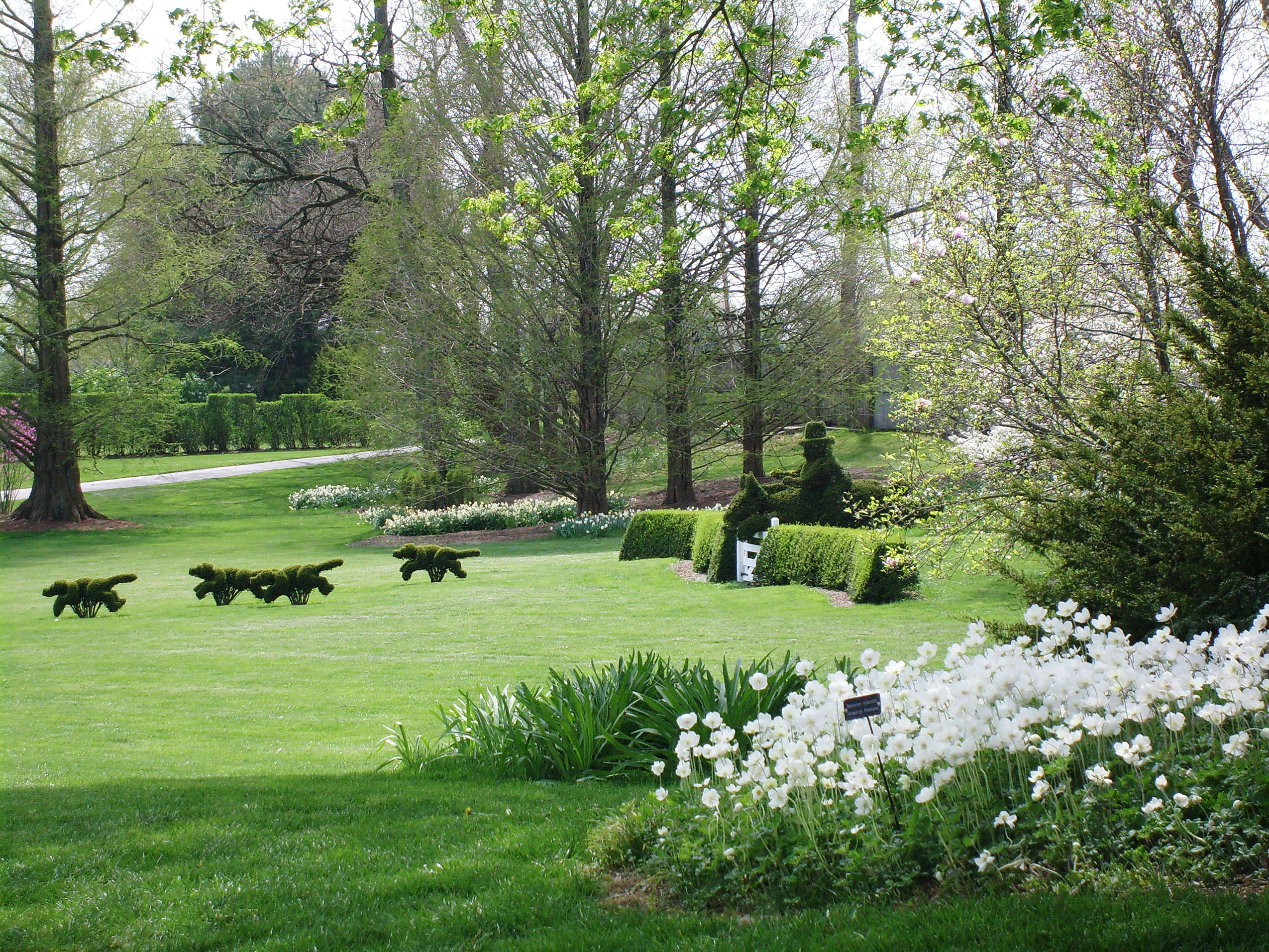 The Hunt Scene at Ladew Topiary Gardens. Photo courtesy of Ladew Topiary Gardens.