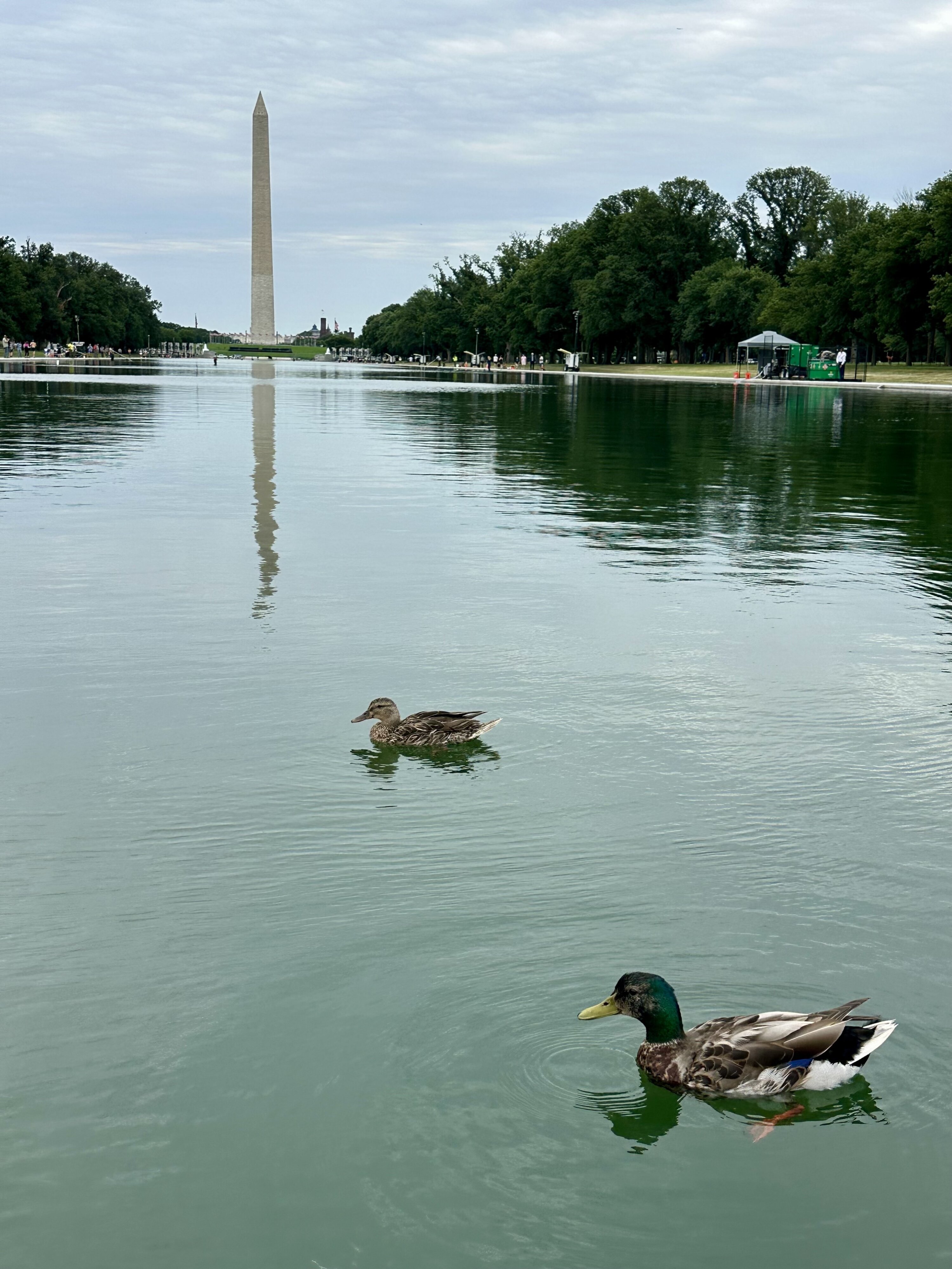 IMG_8282 - Washingtonian