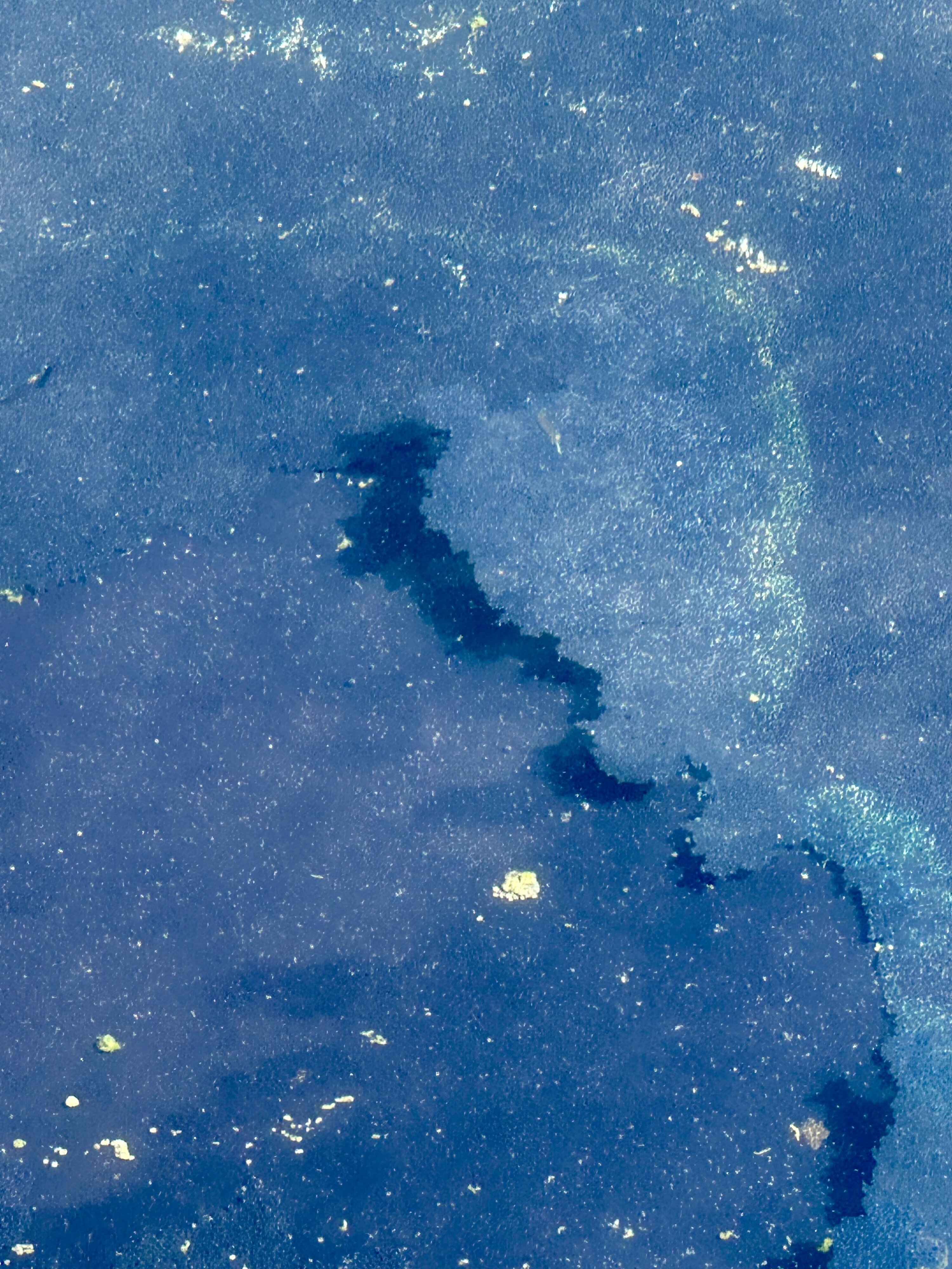 reflecting pool surface - Washingtonian