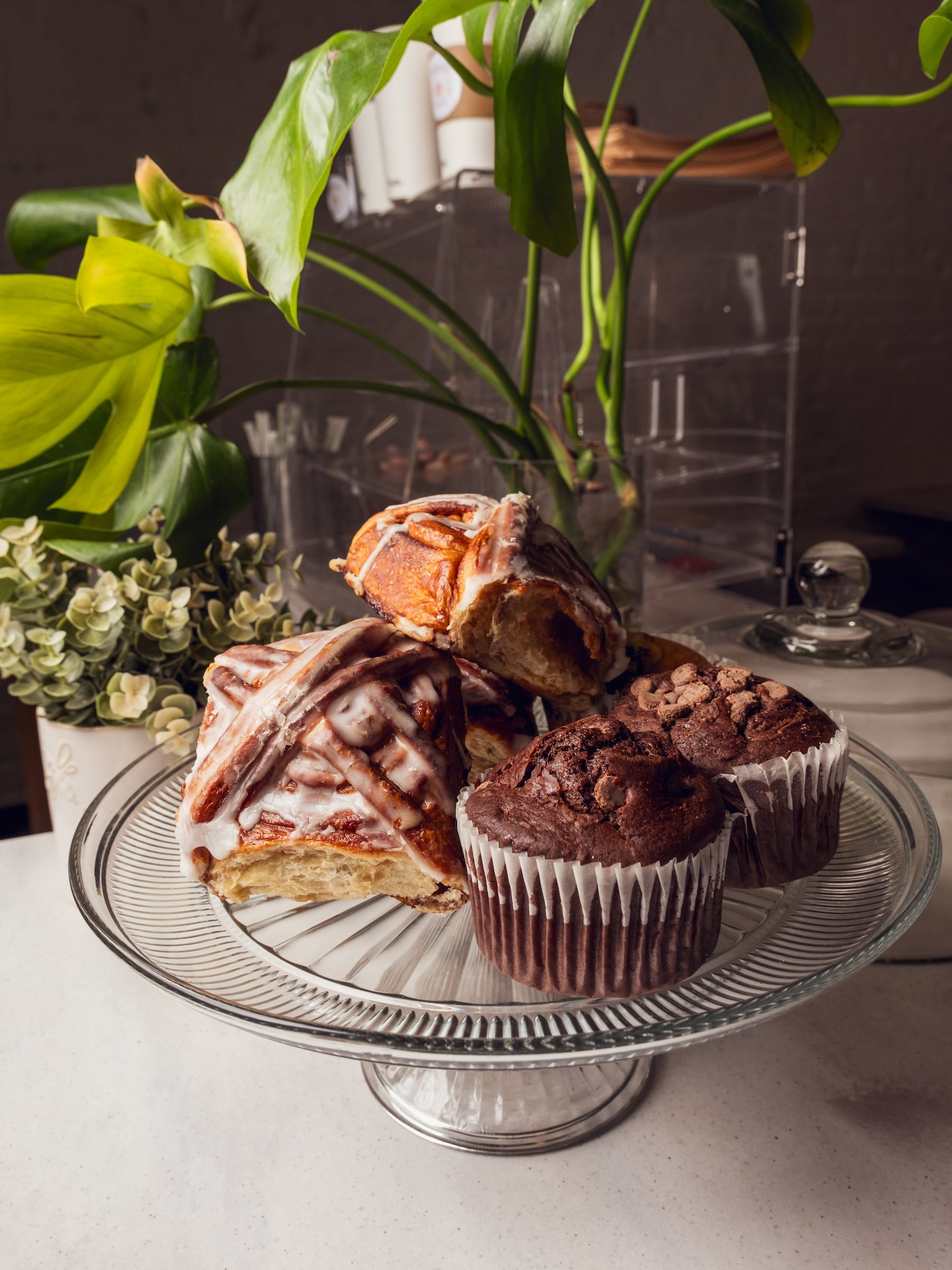 Prim's Cafe Grand Opening Shoot