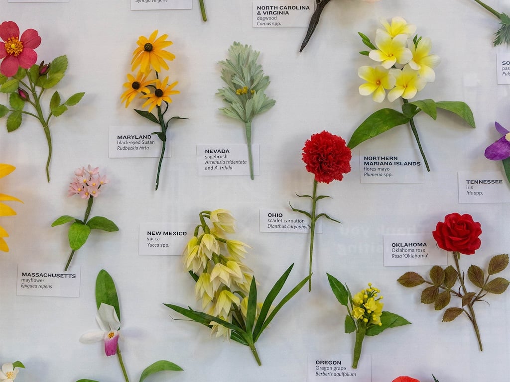 Americas state flowers usbg - Washingtonian