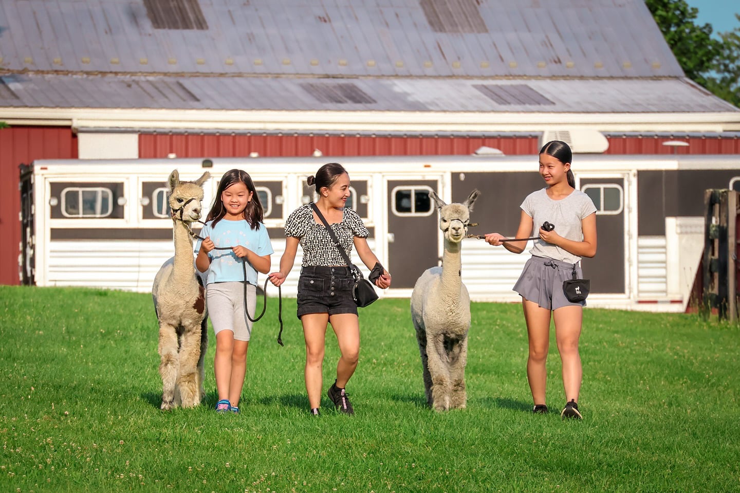 Credit_ Black Barn Alpacas 25 - Washingtonian