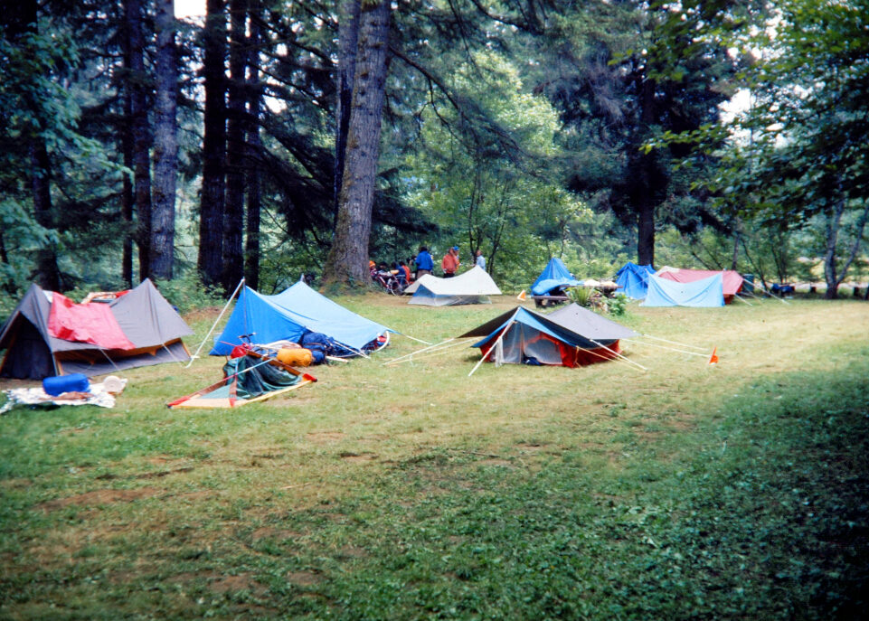 DSC_aa15aaa1