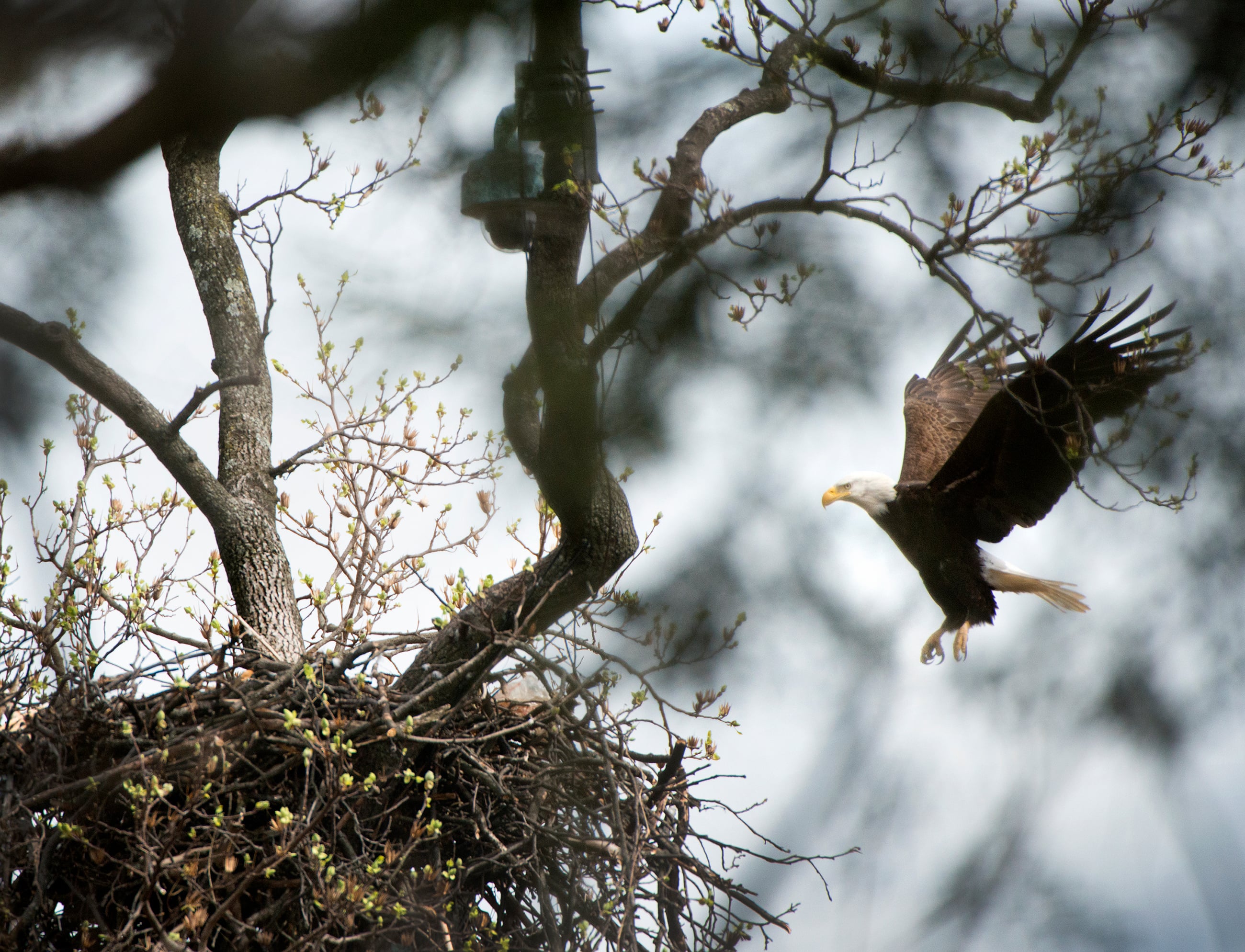 GettyImages-538528550-scaled-down - Washingtonian
