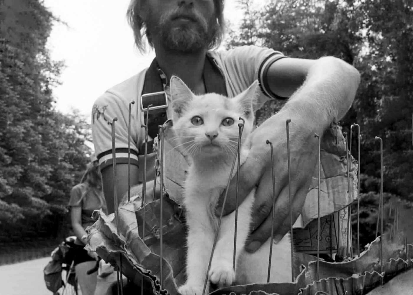 TA76-rescued_cat_Dan-Burden