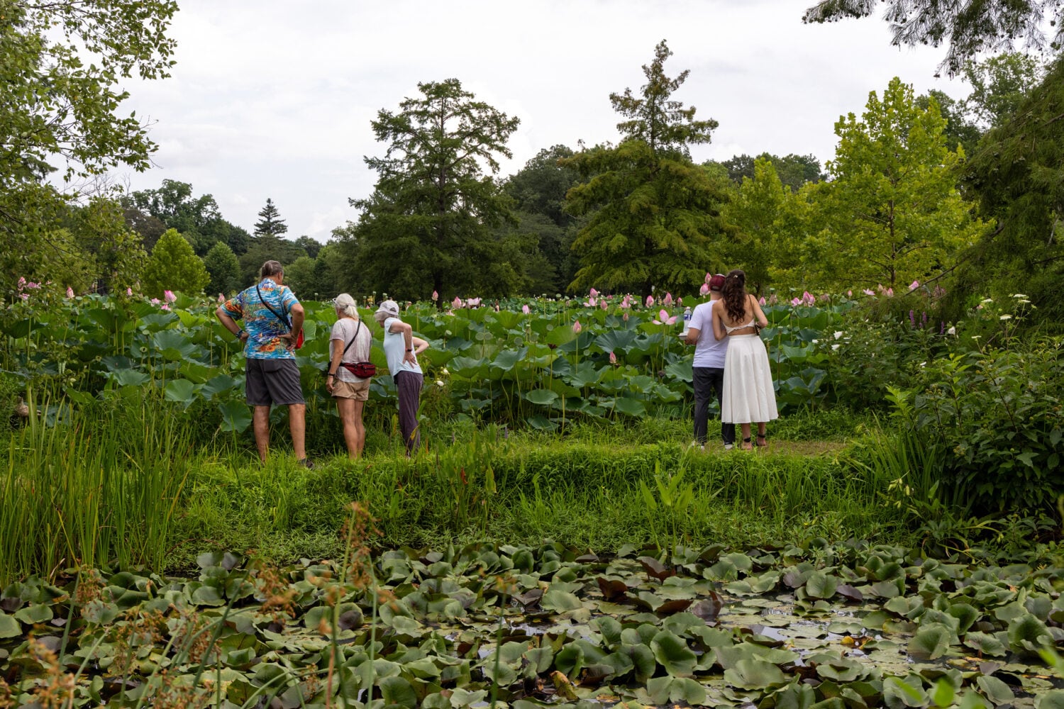 27 Things to Do in the DC Area This Week and Weekend