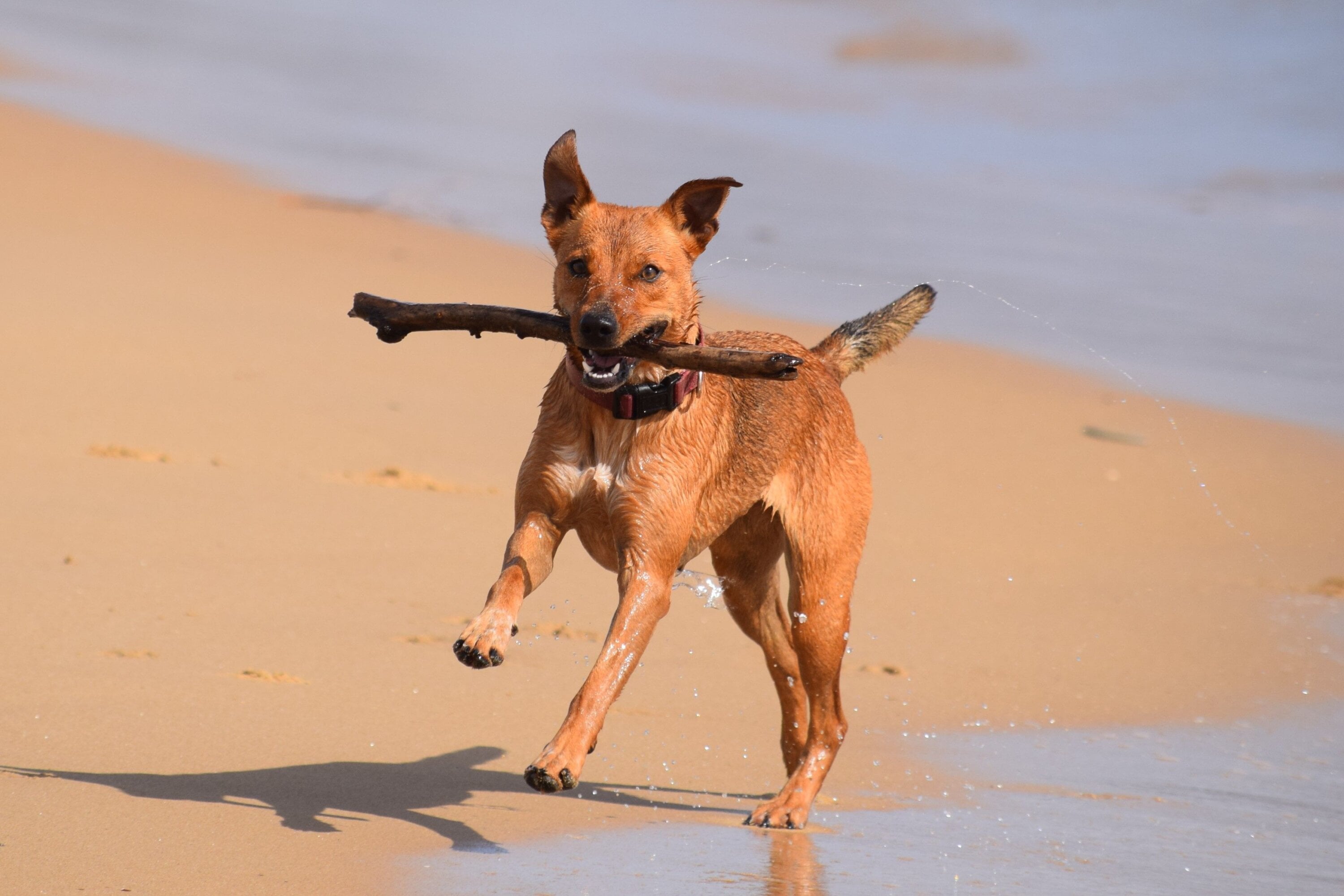 Photograph by Gili Pup.