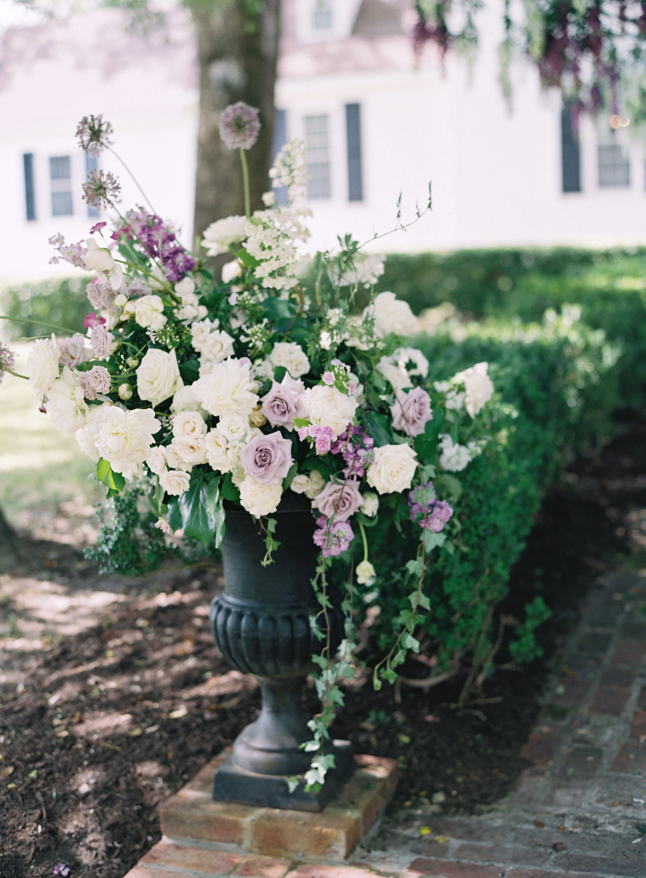 Charlotte and Blake�s wedding Charlotte and Blake�s wedding