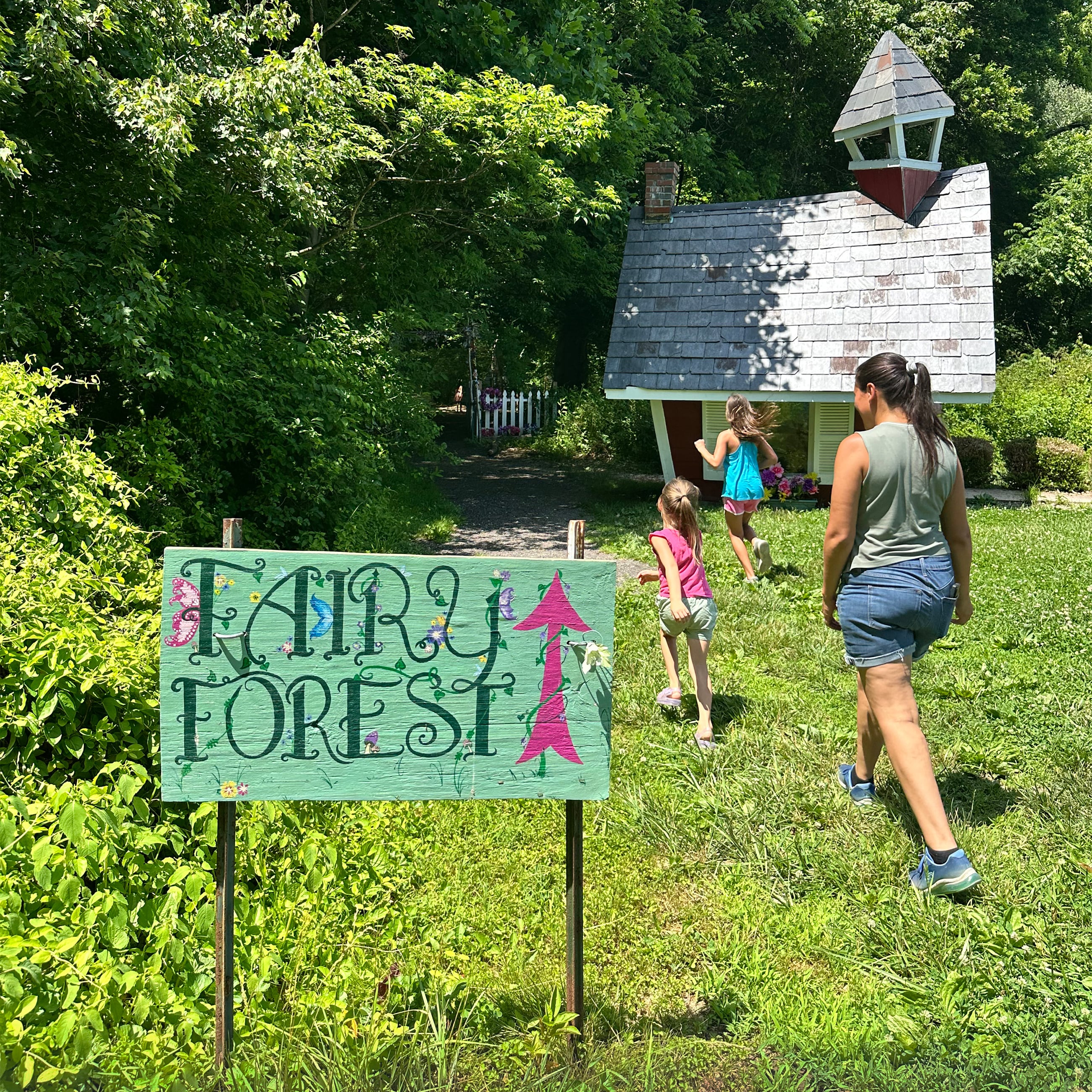 Fiary-Forest-Clarks-Eliok-Farm-cropped - Washingtonian